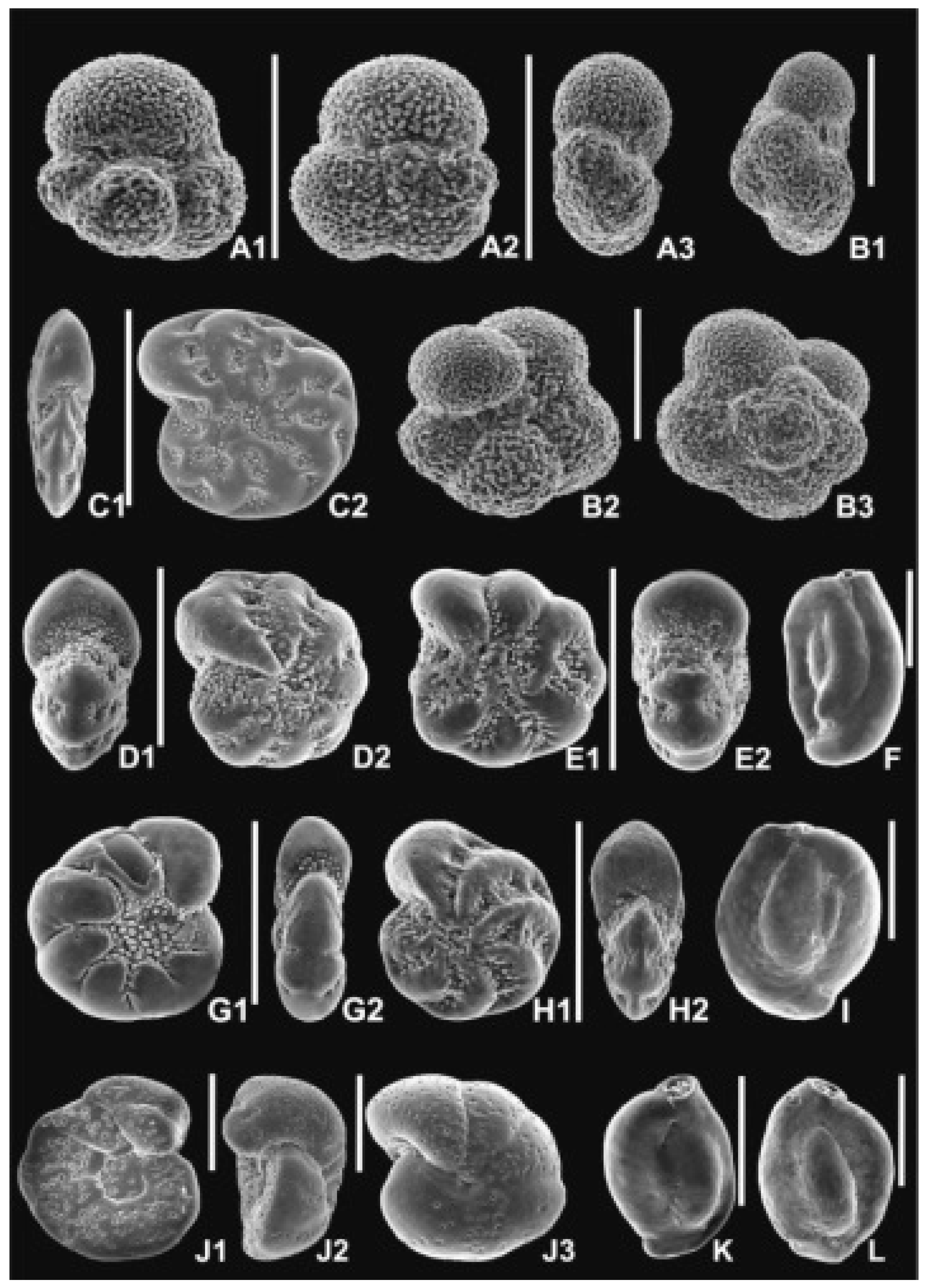 Preprints 96710 g003