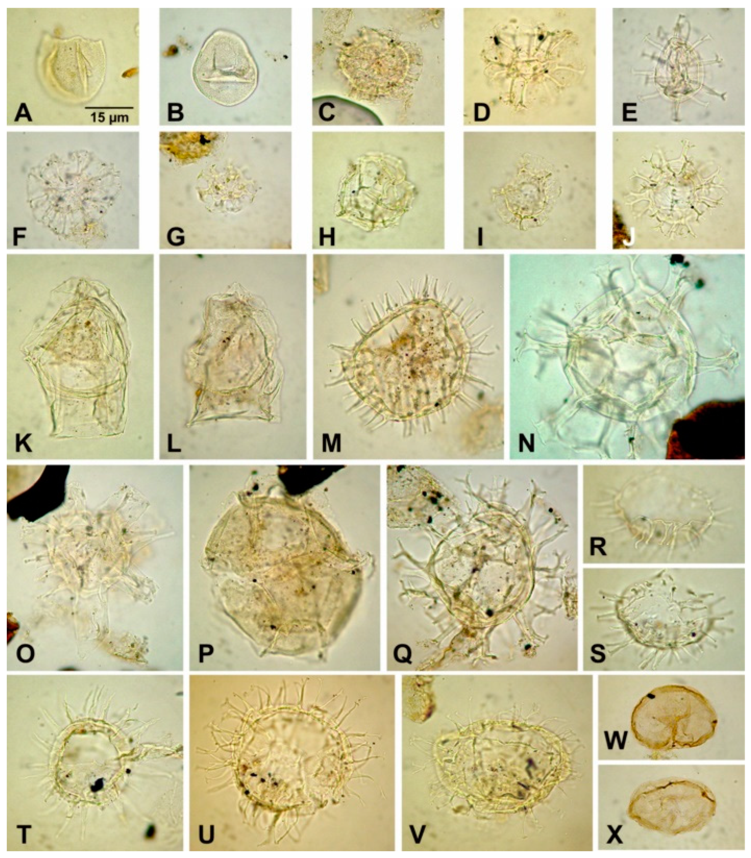 Preprints 96710 g005