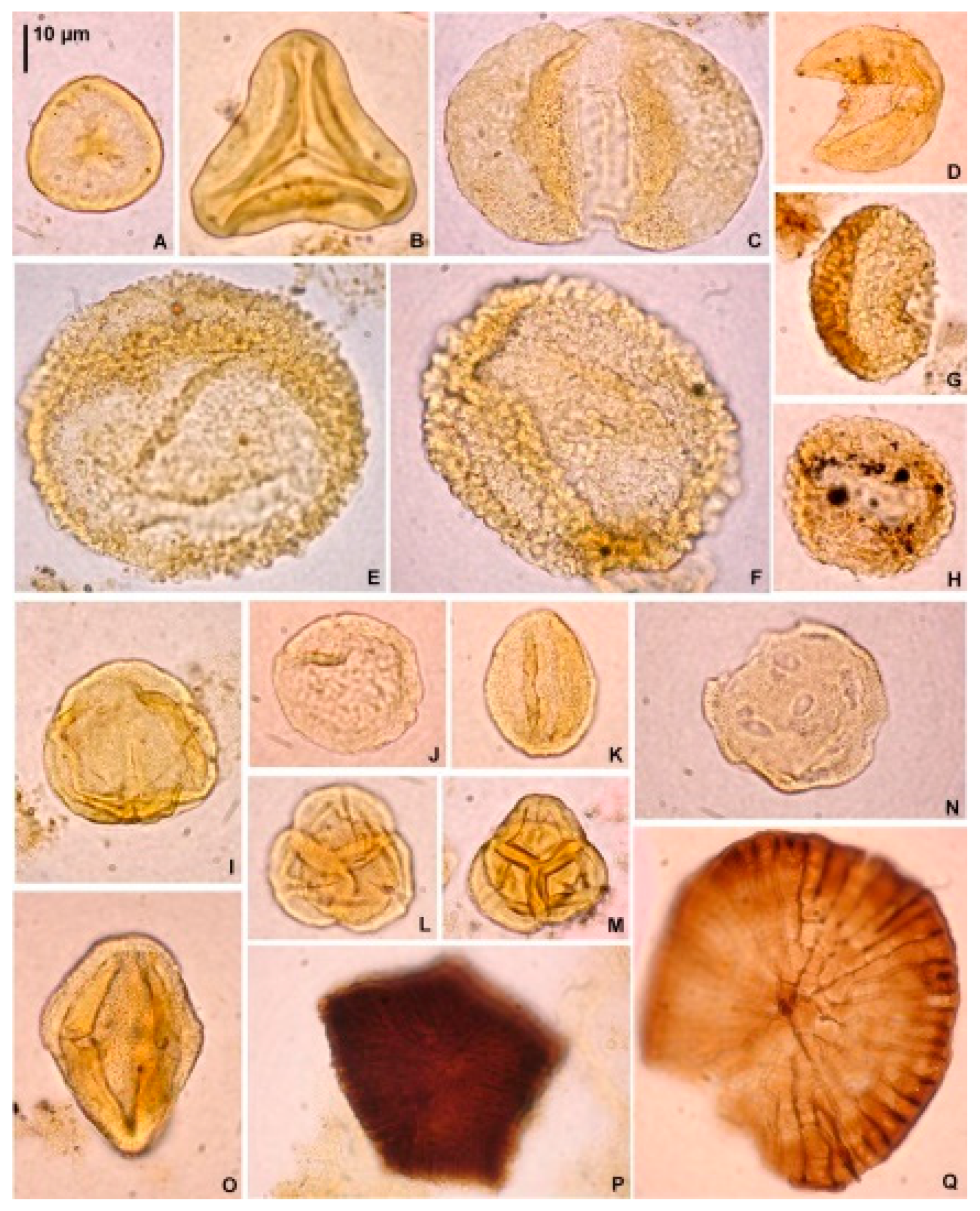 Preprints 96710 g006