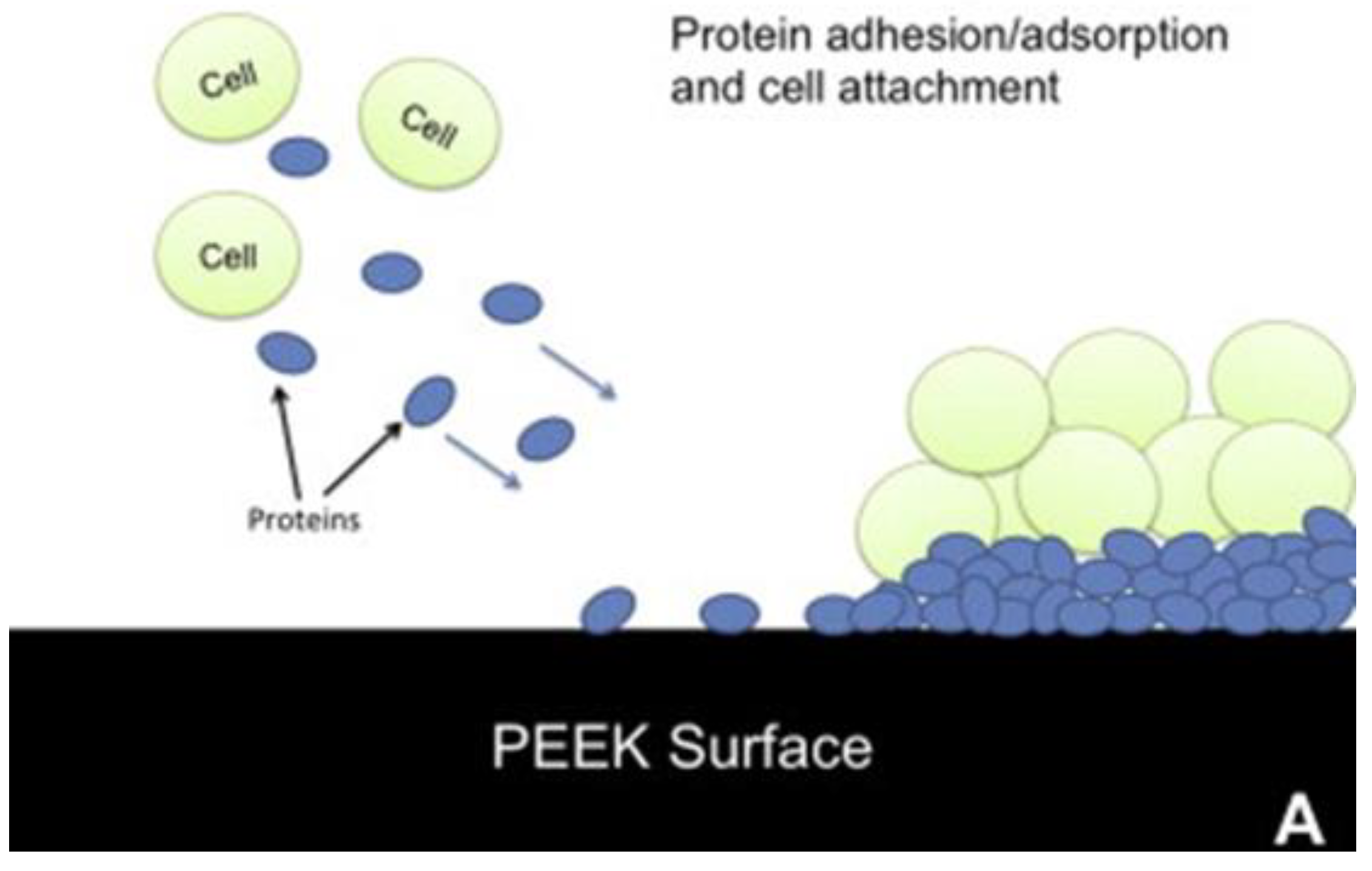 Preprints 89717 g002a