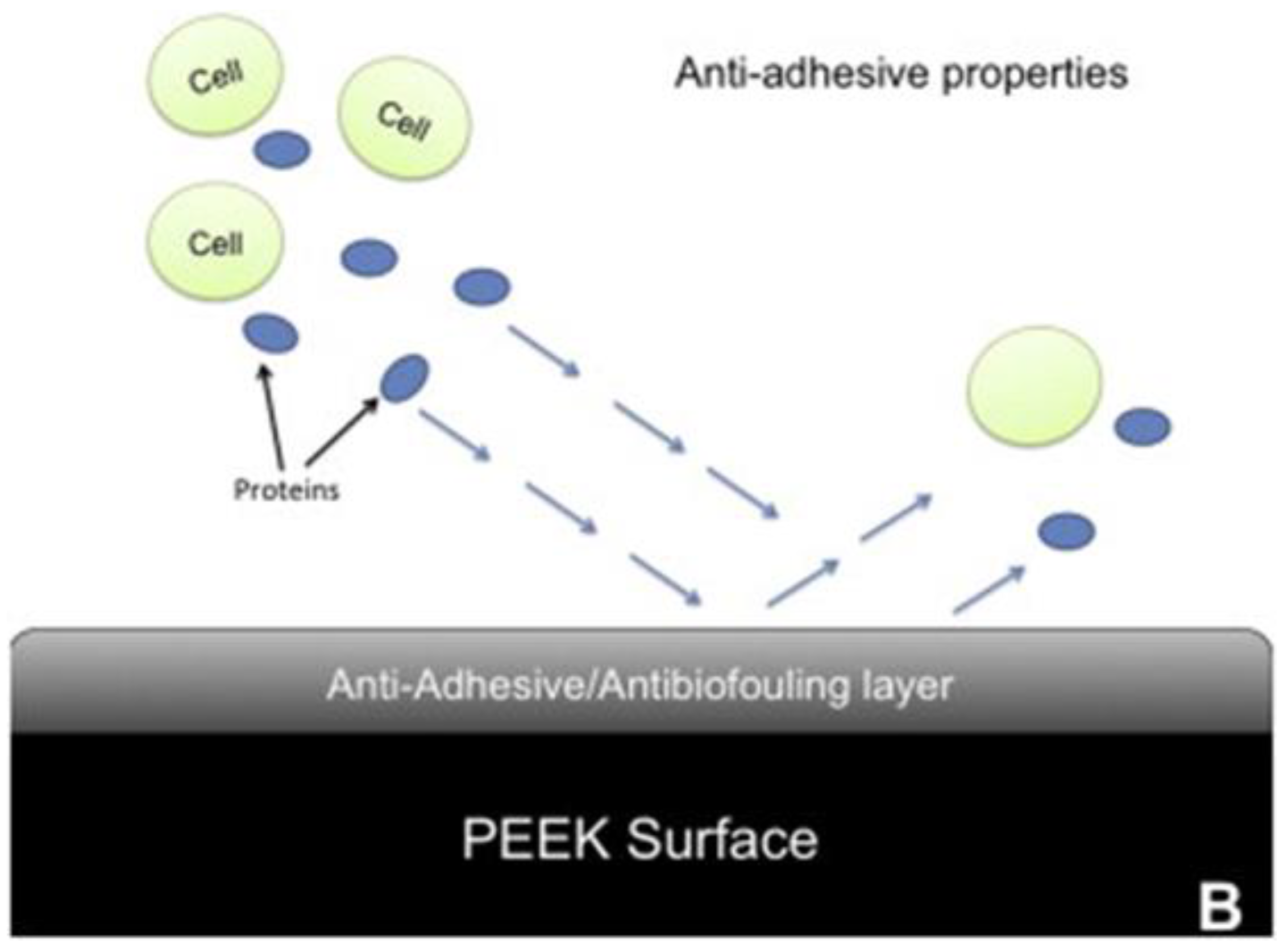 Preprints 89717 g002b