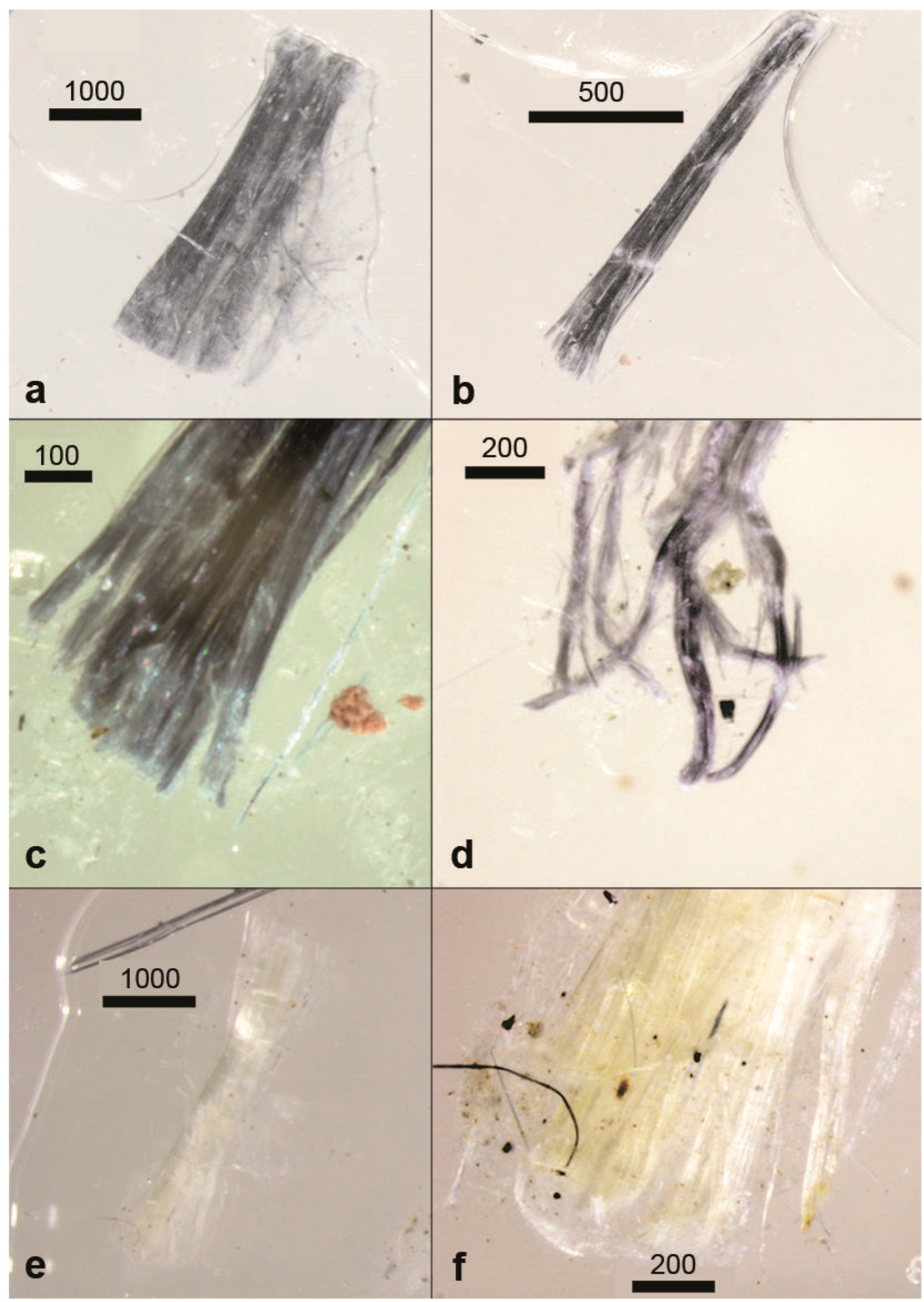 Preprints 99236 g007