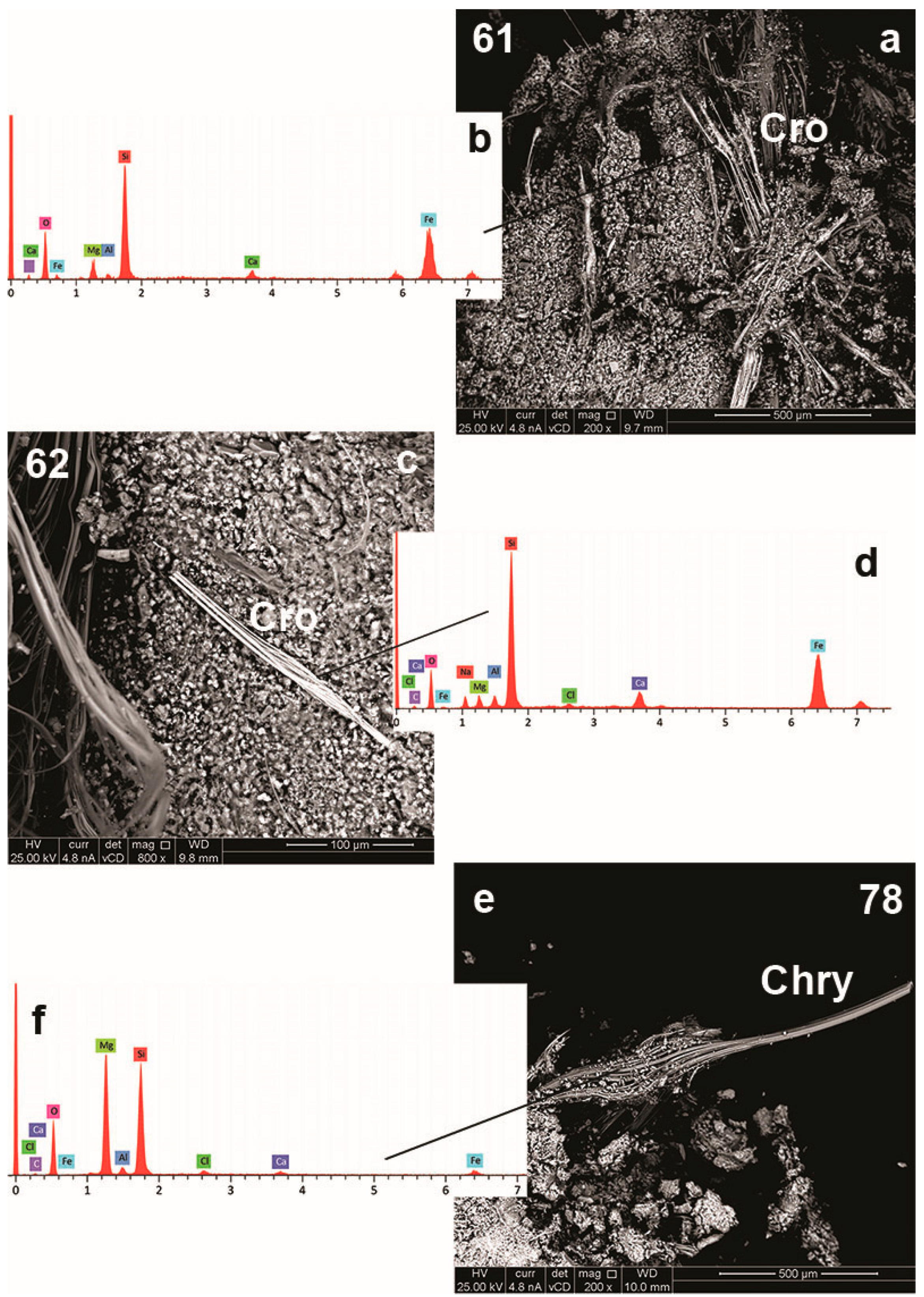 Preprints 99236 g008