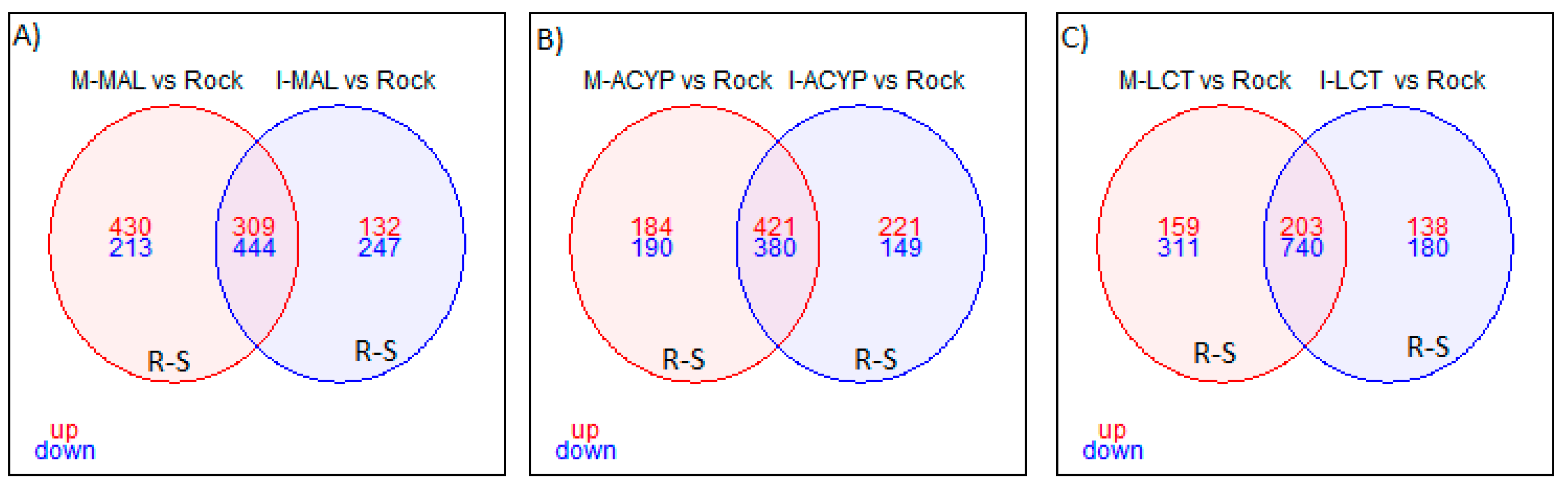 Preprints 79101 g003