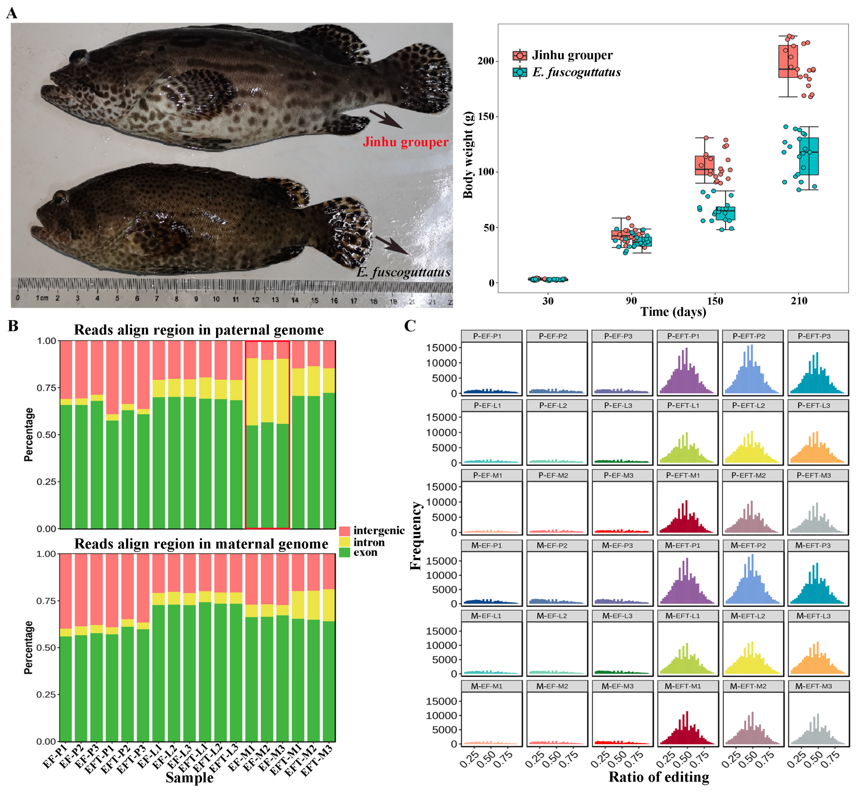 Preprints 113578 g001