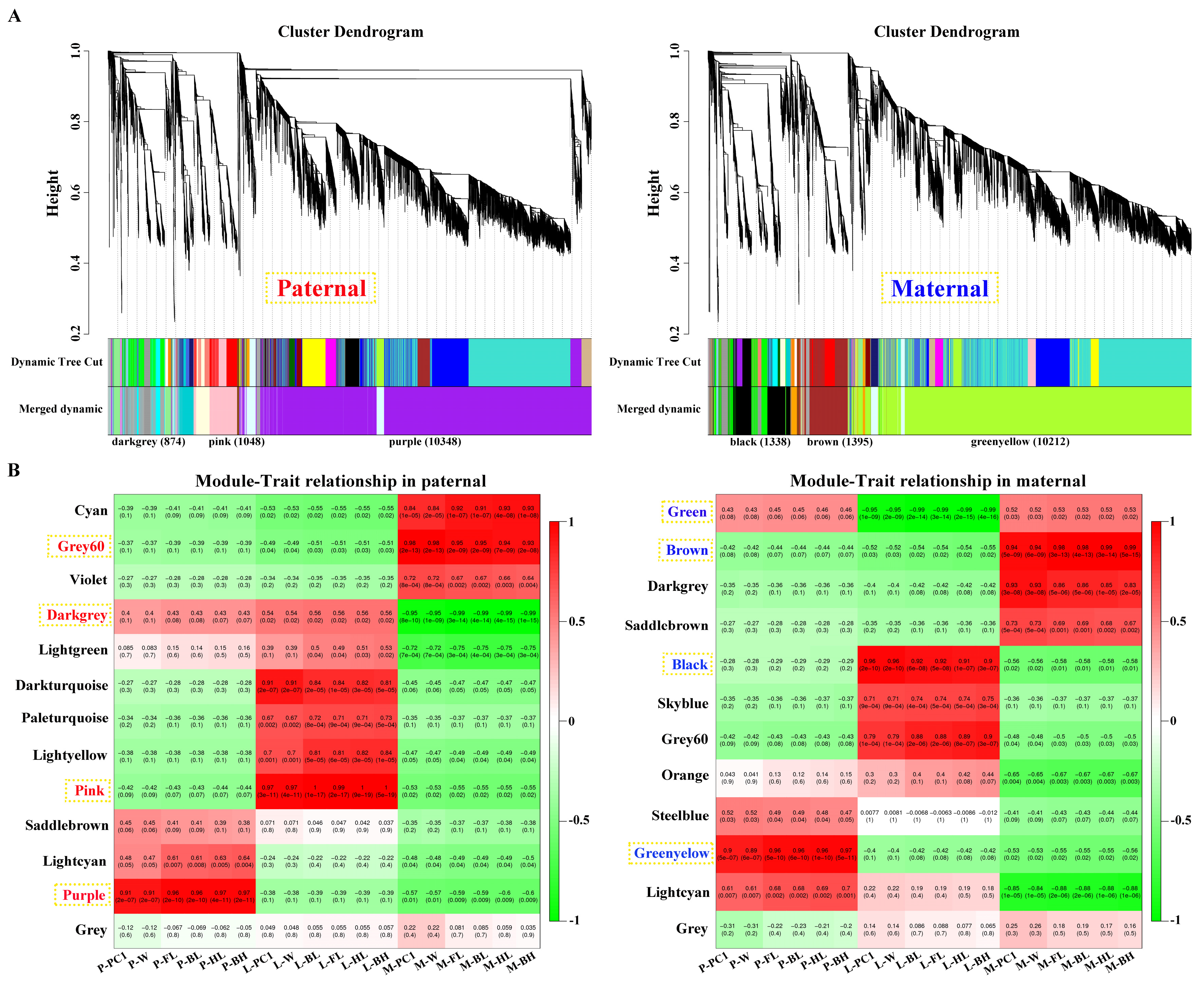 Preprints 113578 g003