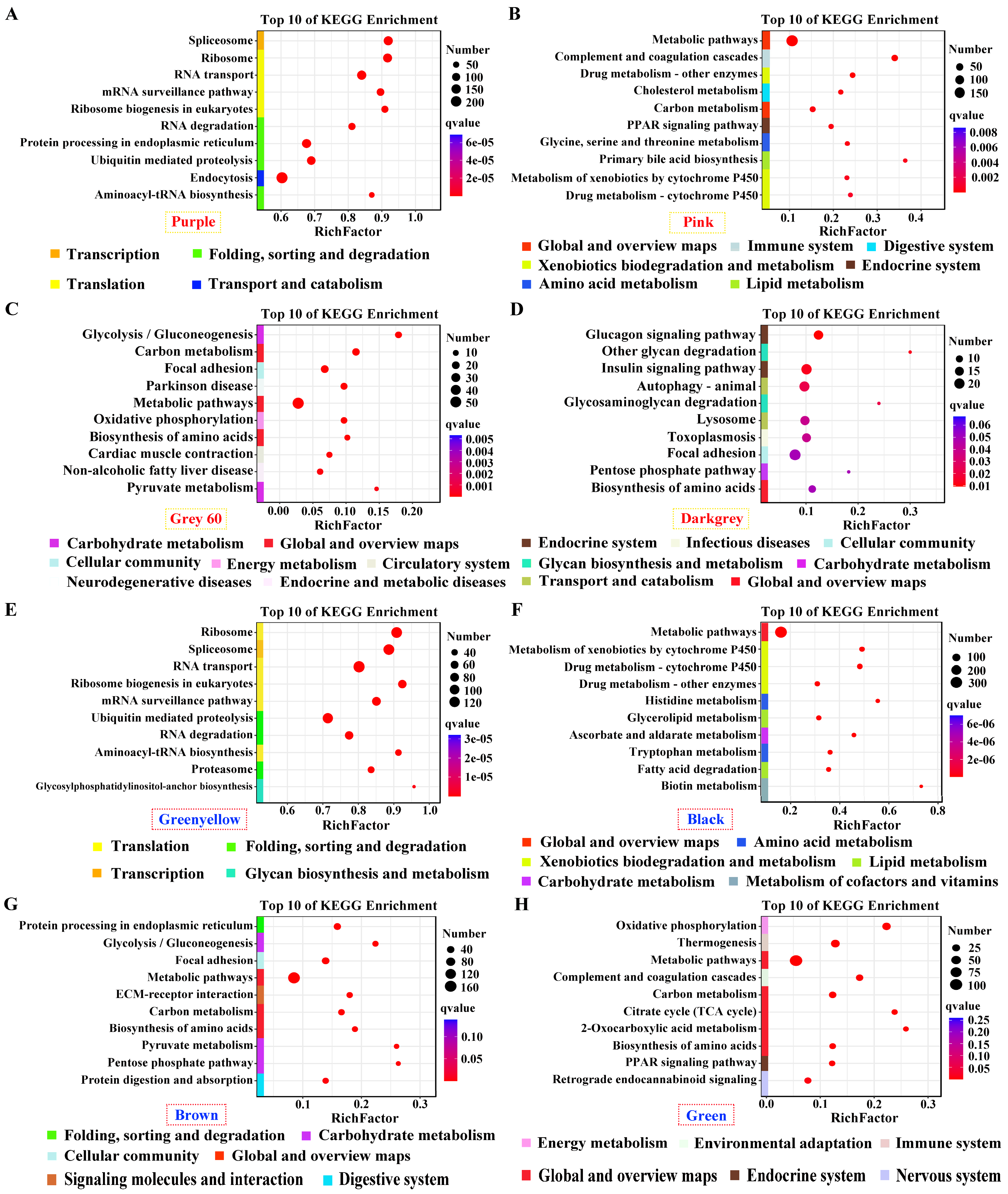 Preprints 113578 g004