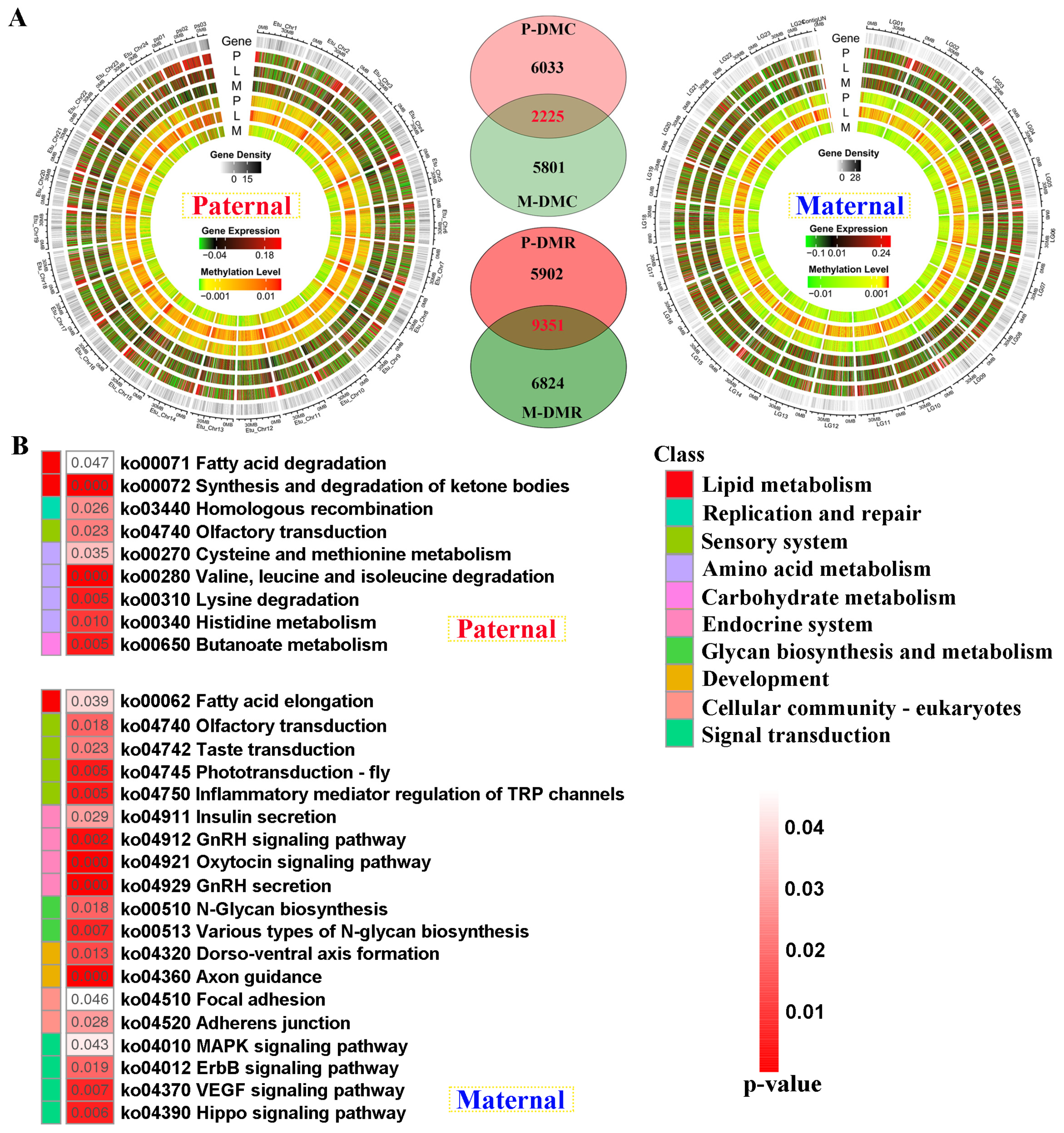 Preprints 113578 g005