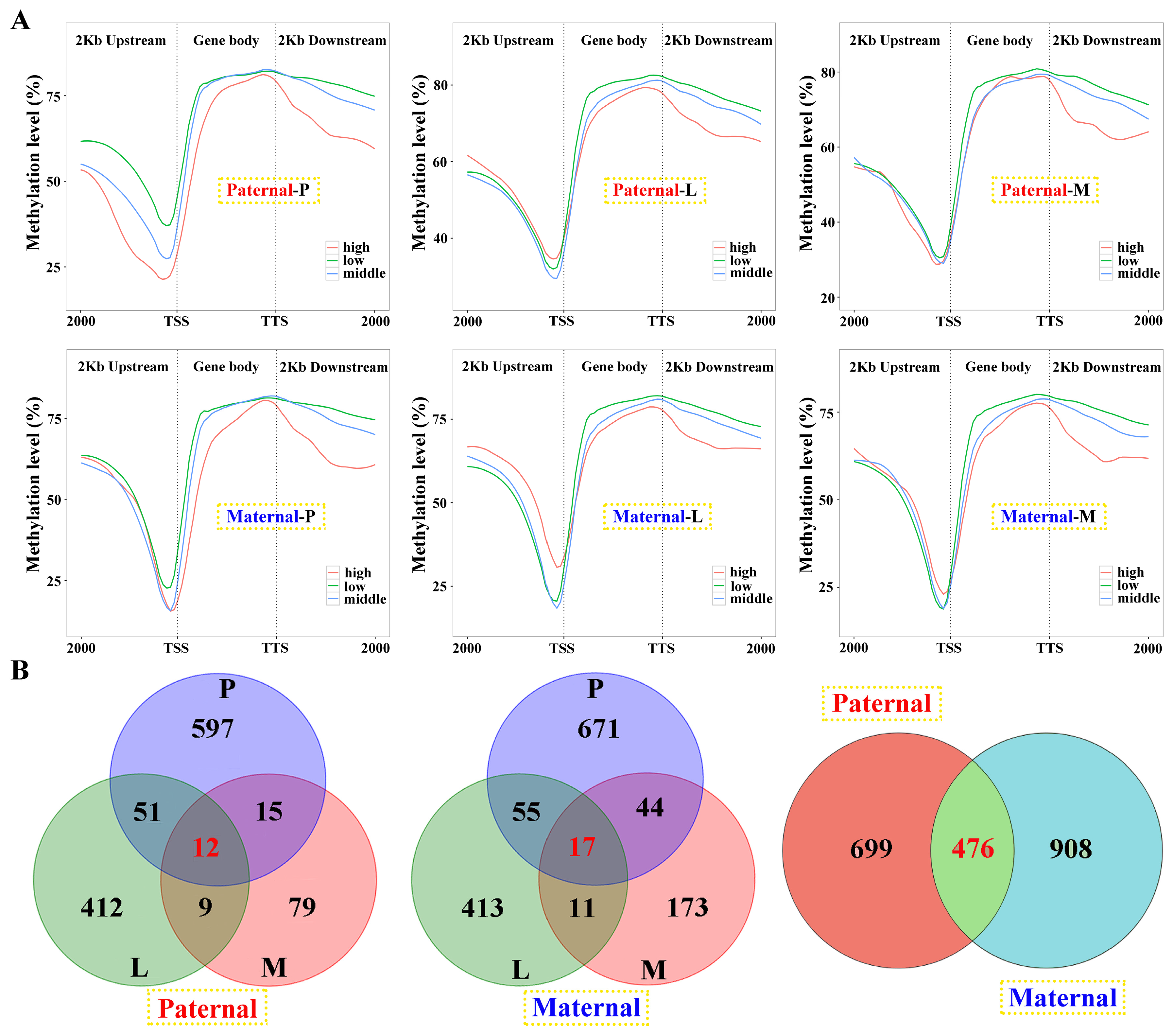 Preprints 113578 g006