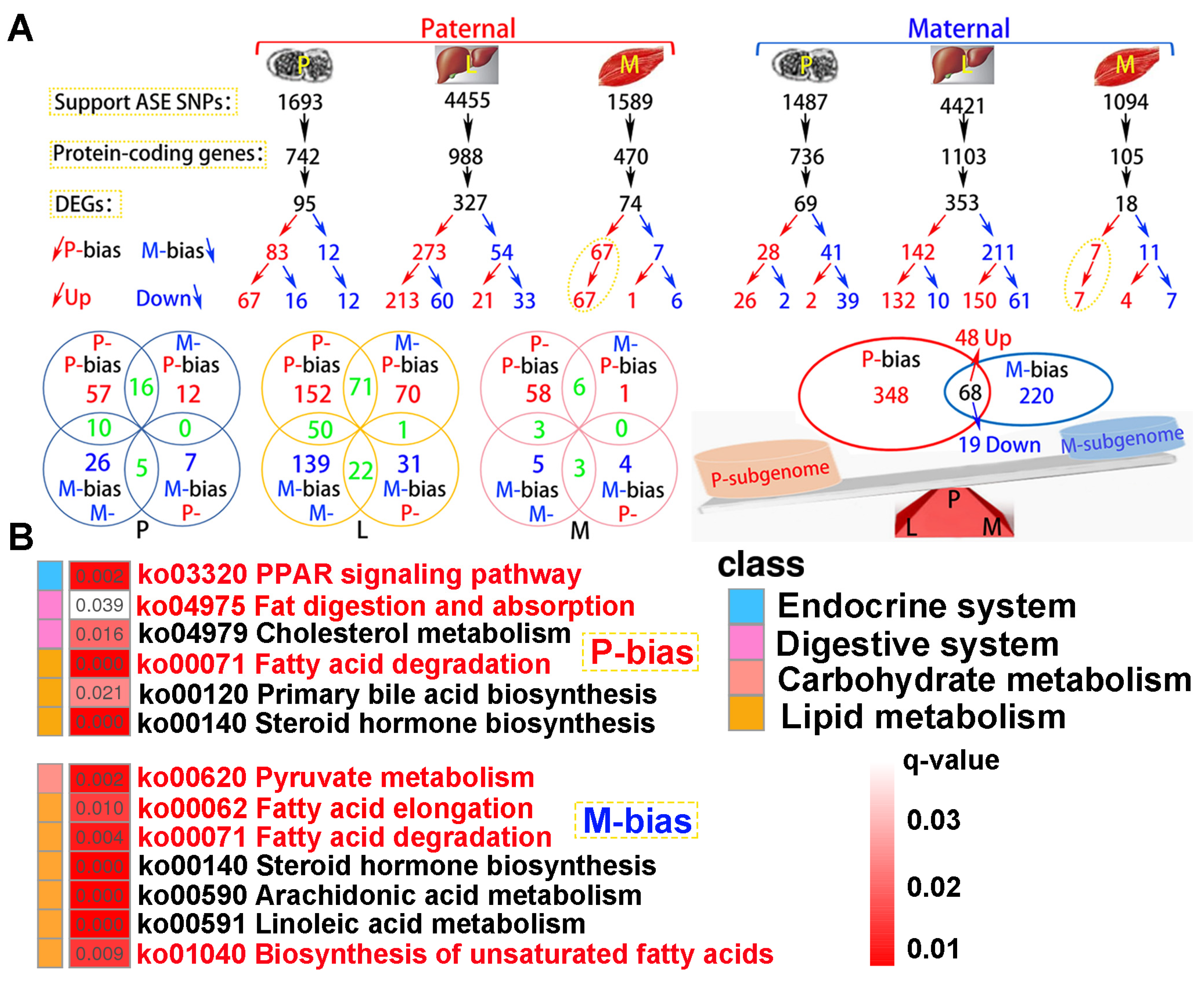 Preprints 113578 g008