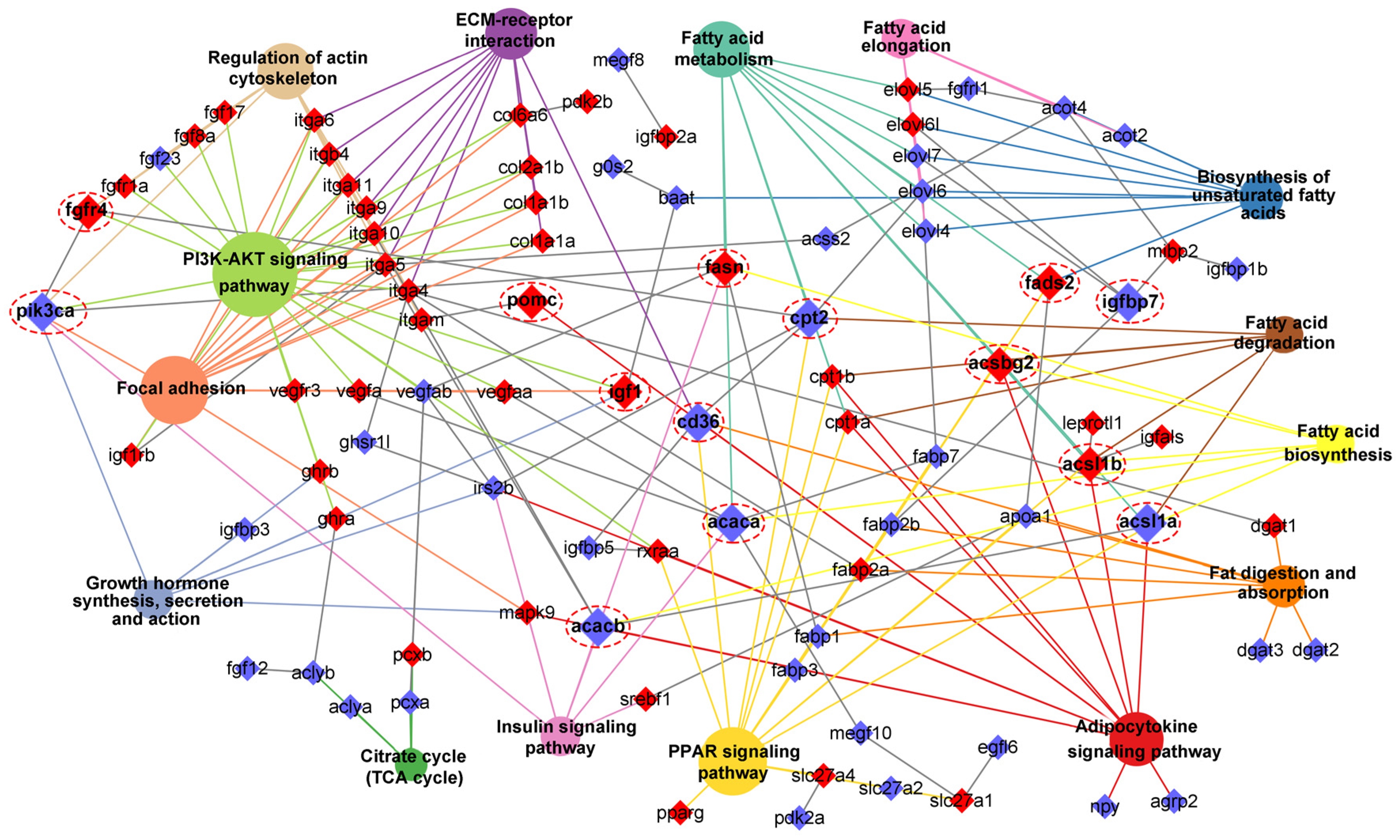 Preprints 113578 g010