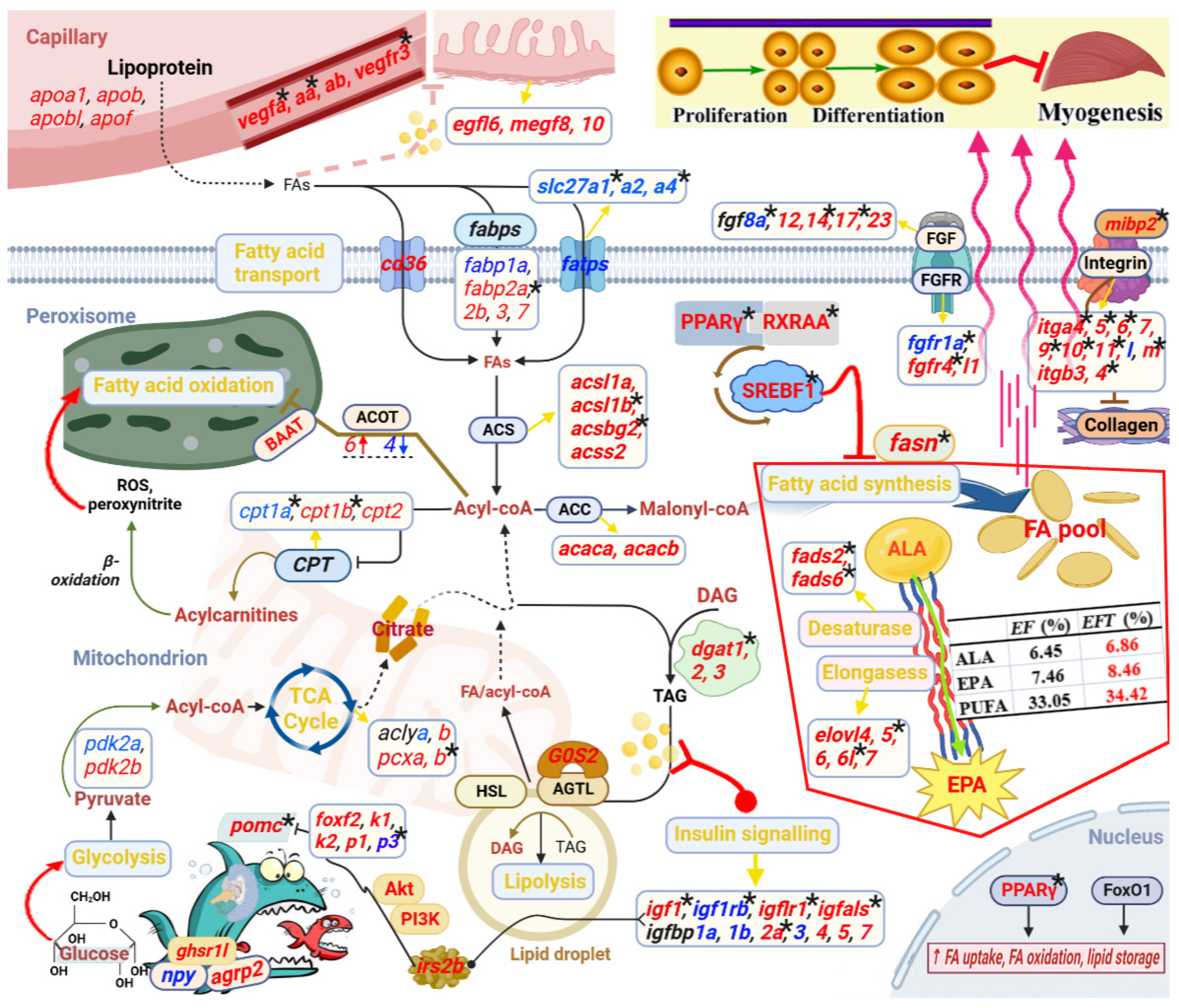 Preprints 113578 g011