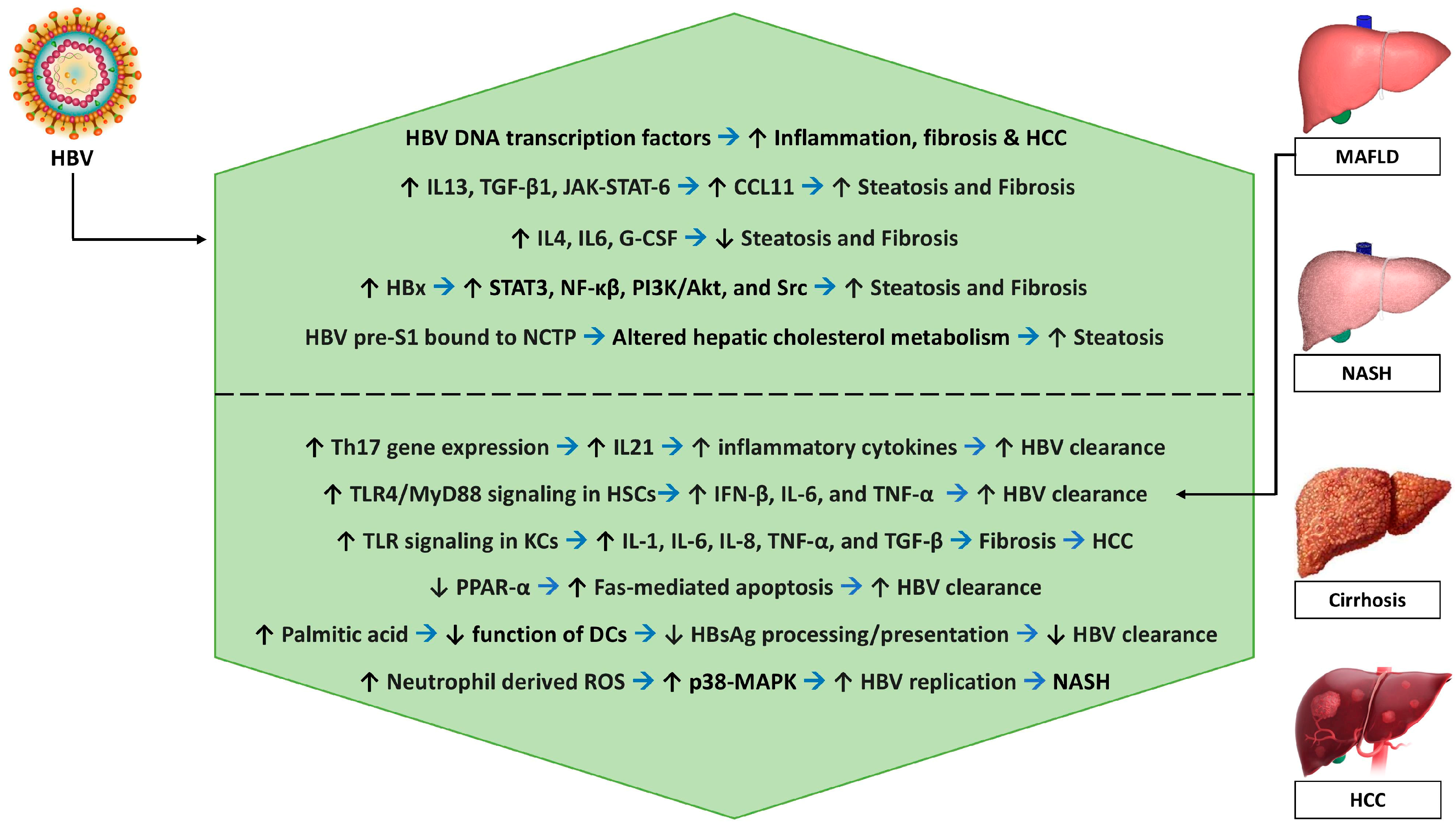 Preprints 90341 g001