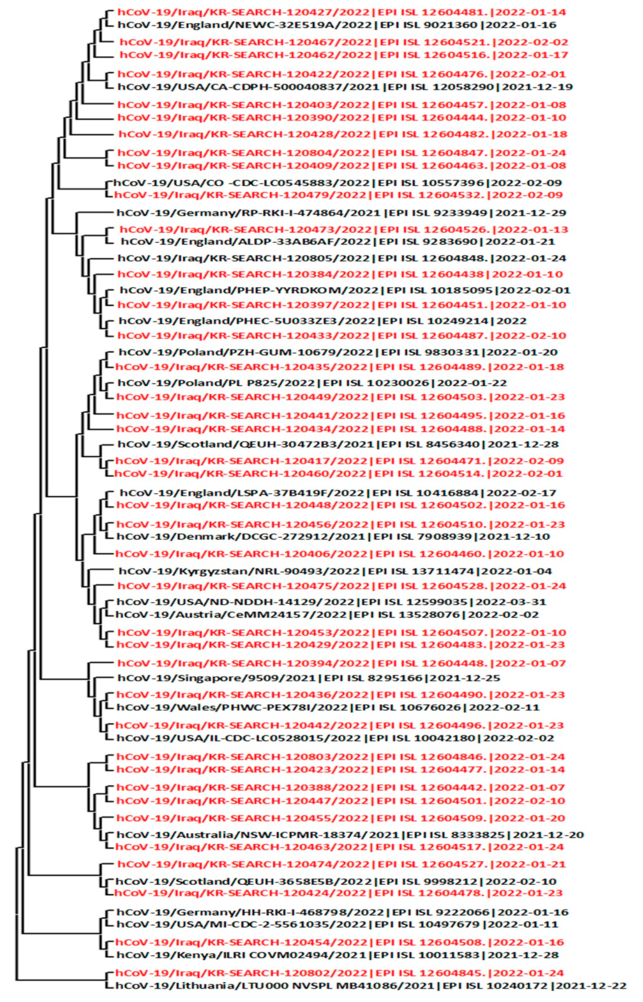 Preprints 82401 g001