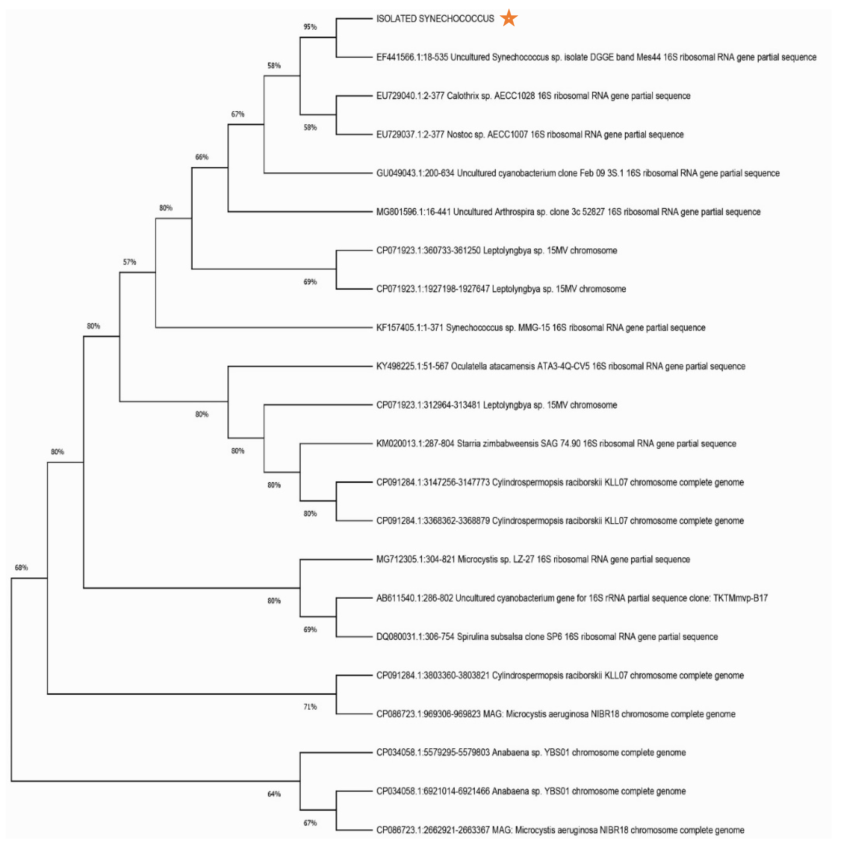 Preprints 85535 g002