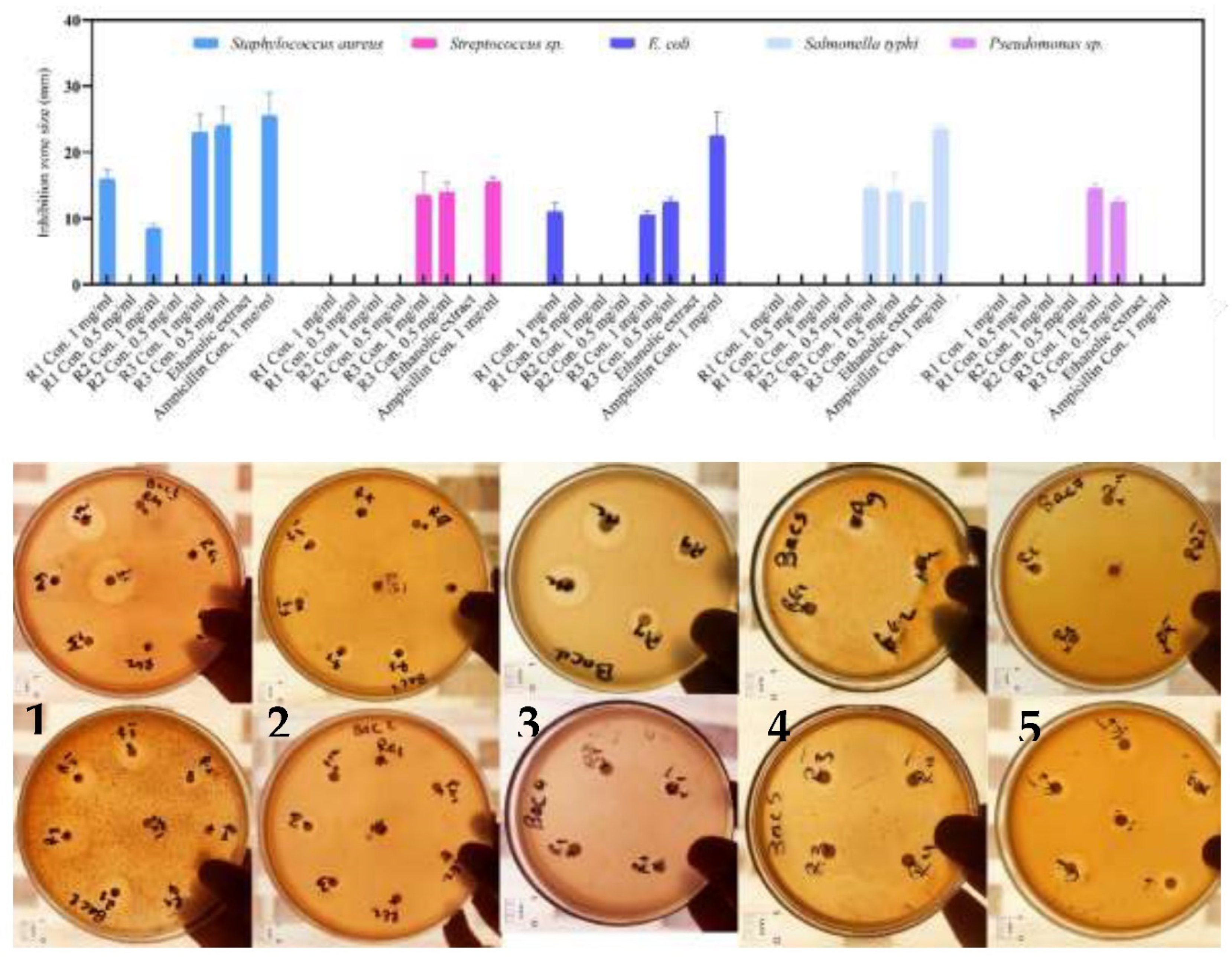 Preprints 85535 g011