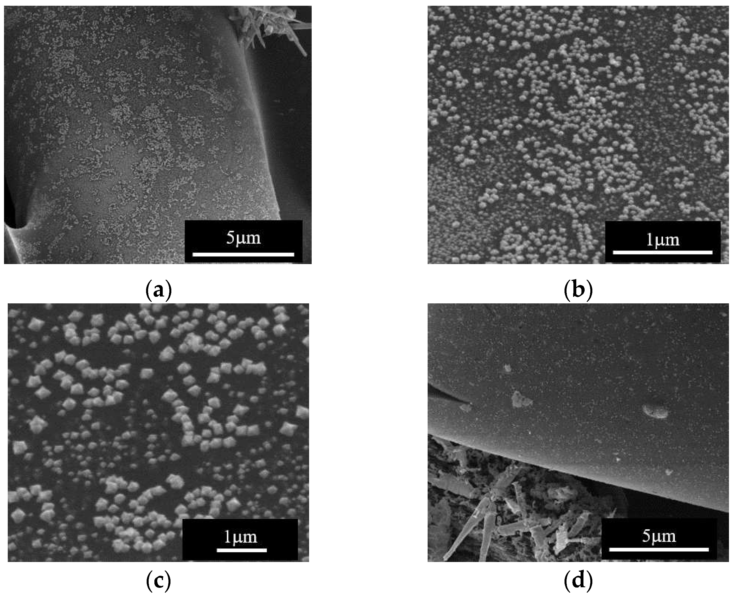 Preprints 96640 g008a