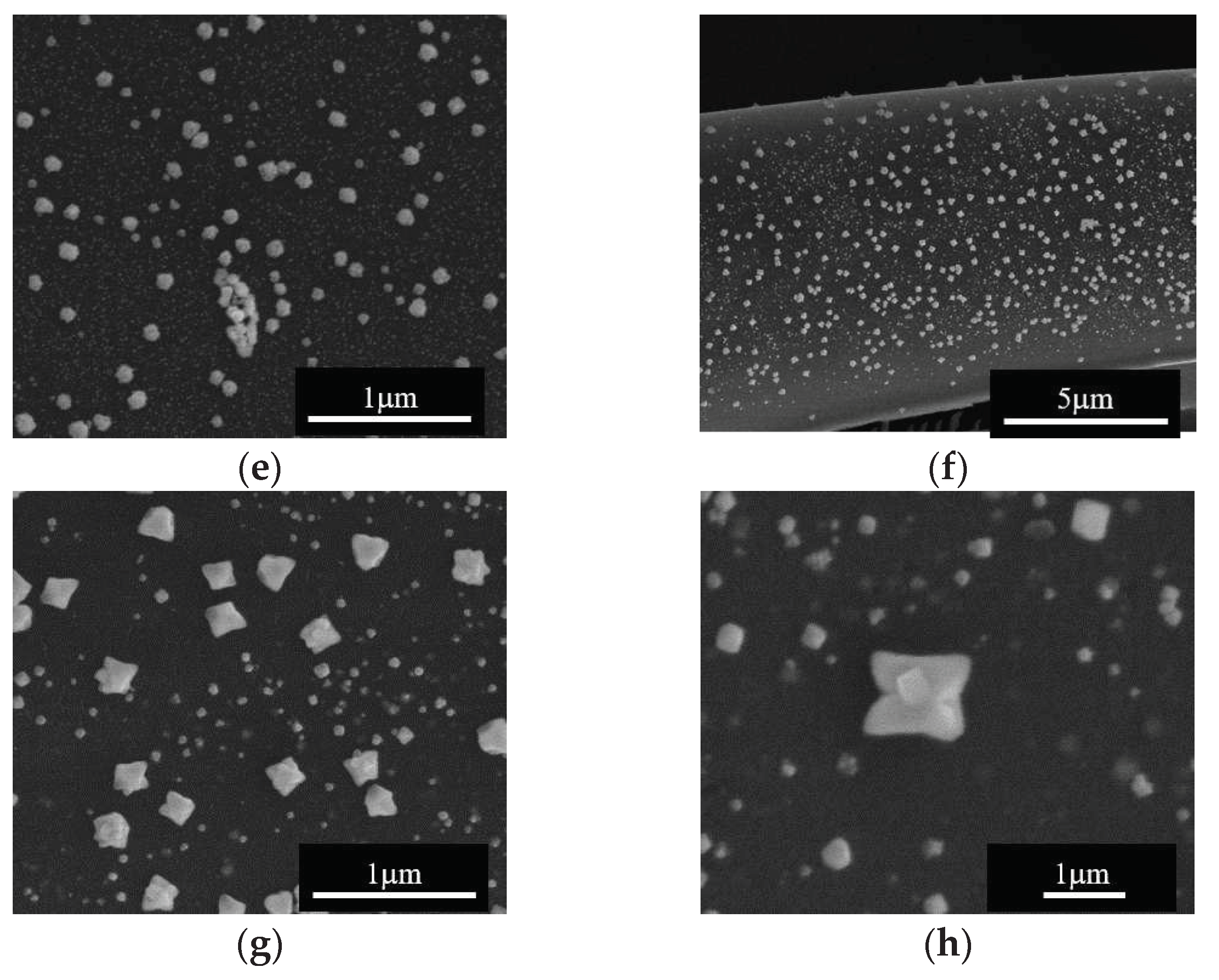 Preprints 96640 g008b