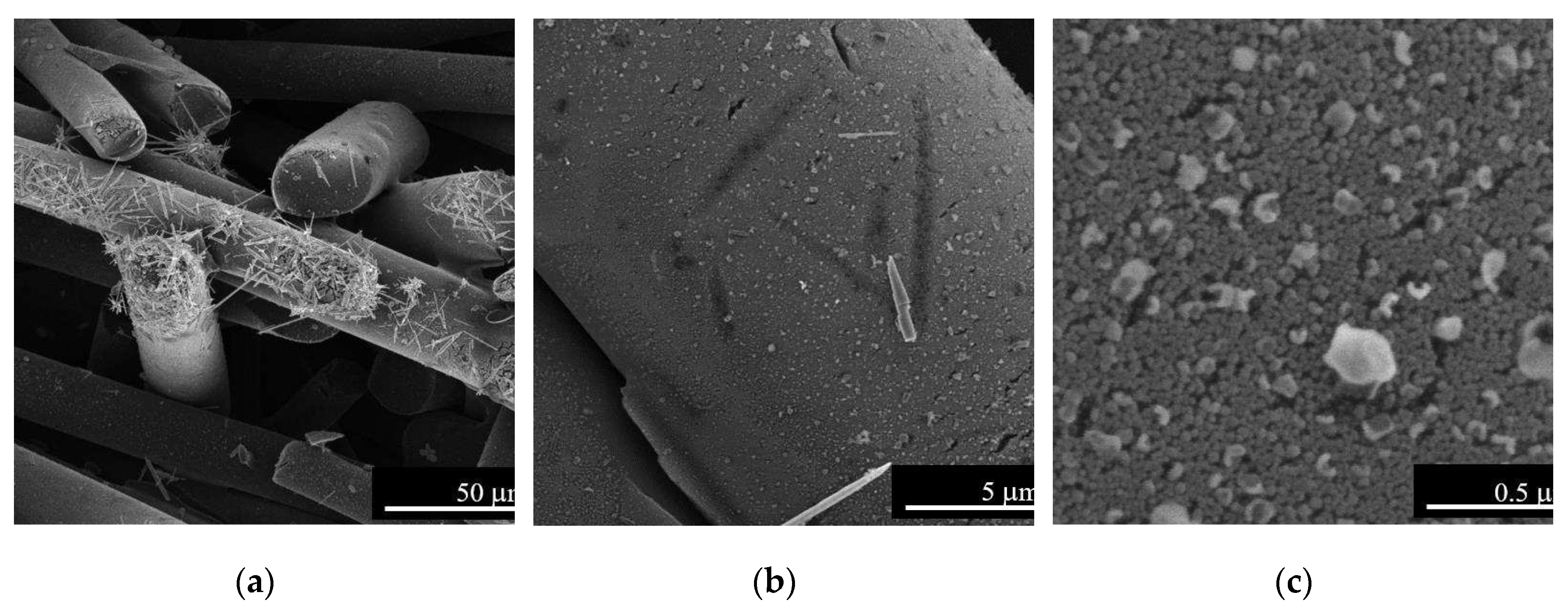 Preprints 96640 g009