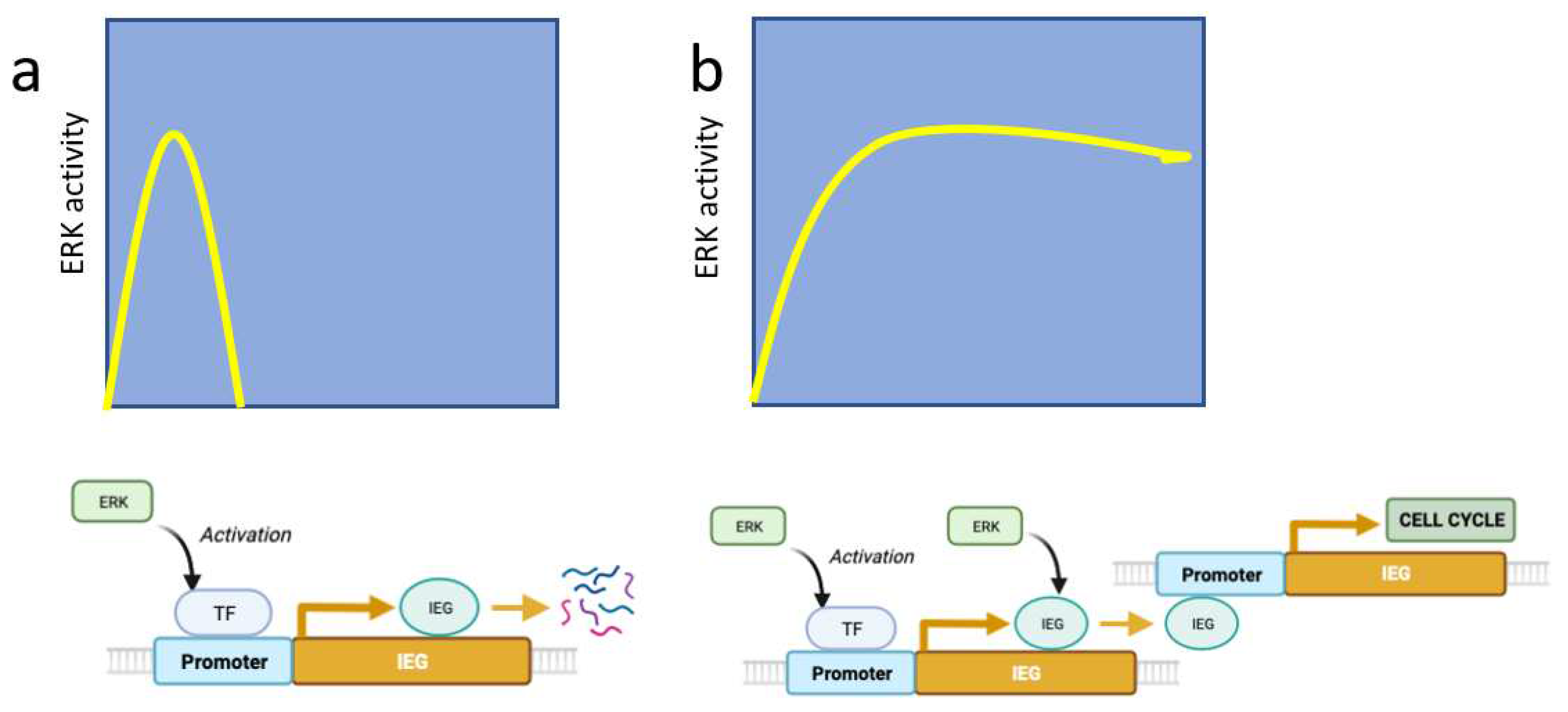 Preprints 91403 g002