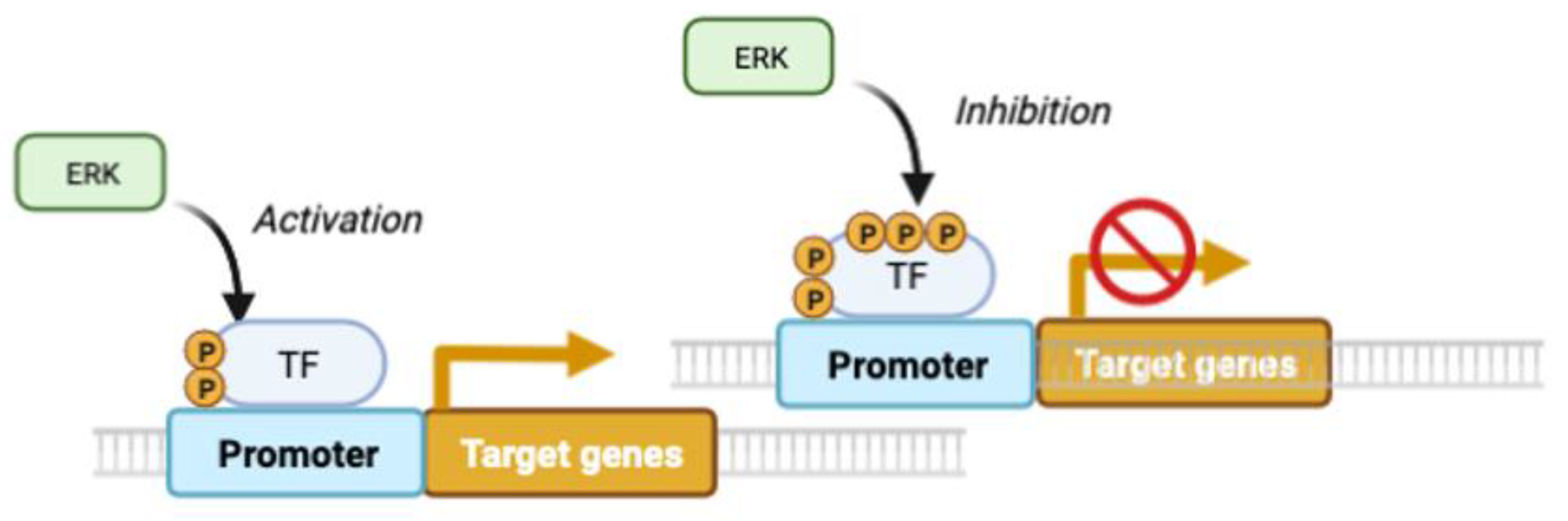 Preprints 91403 g003