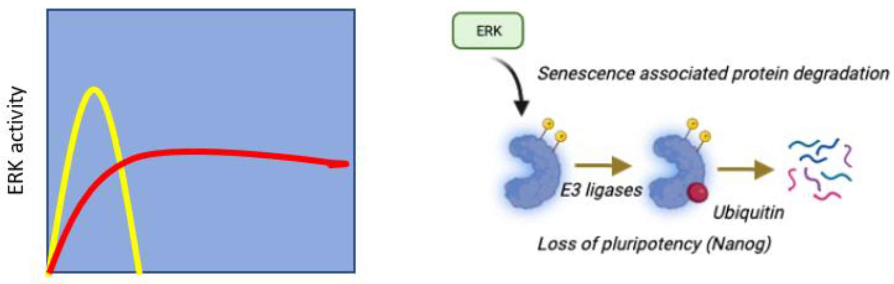 Preprints 91403 g006