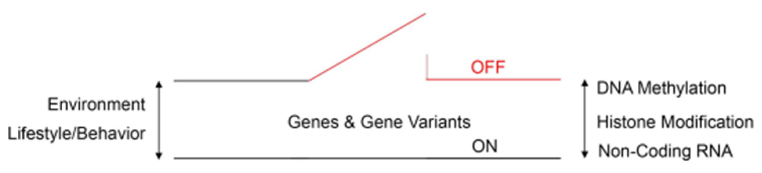 Preprints 81541 g002