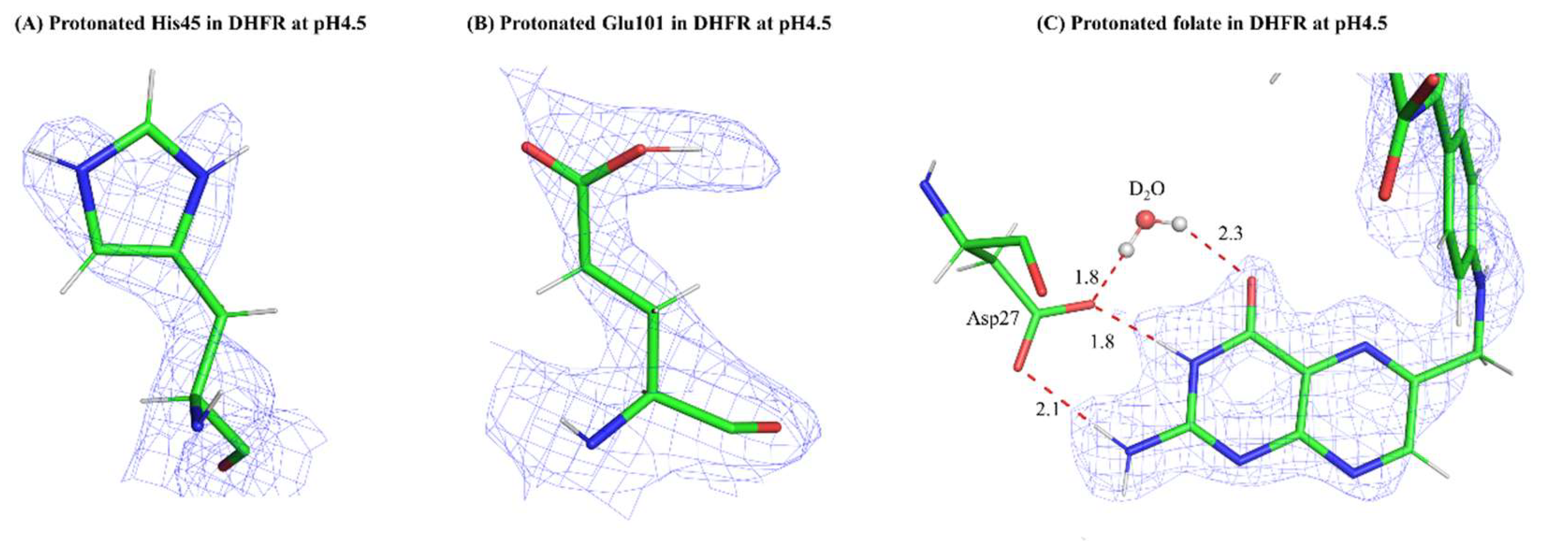 Preprints 118486 g001