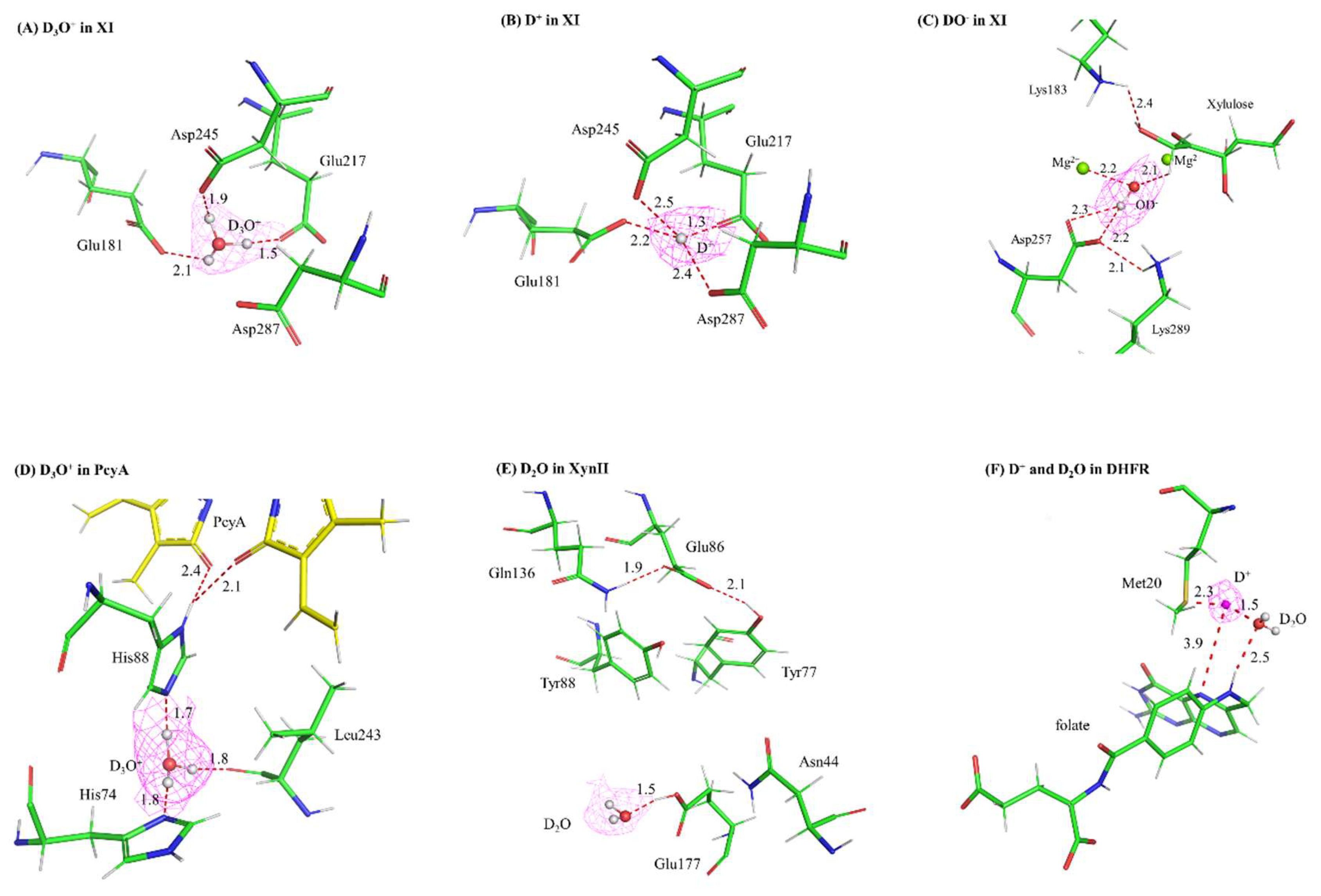 Preprints 118486 g002