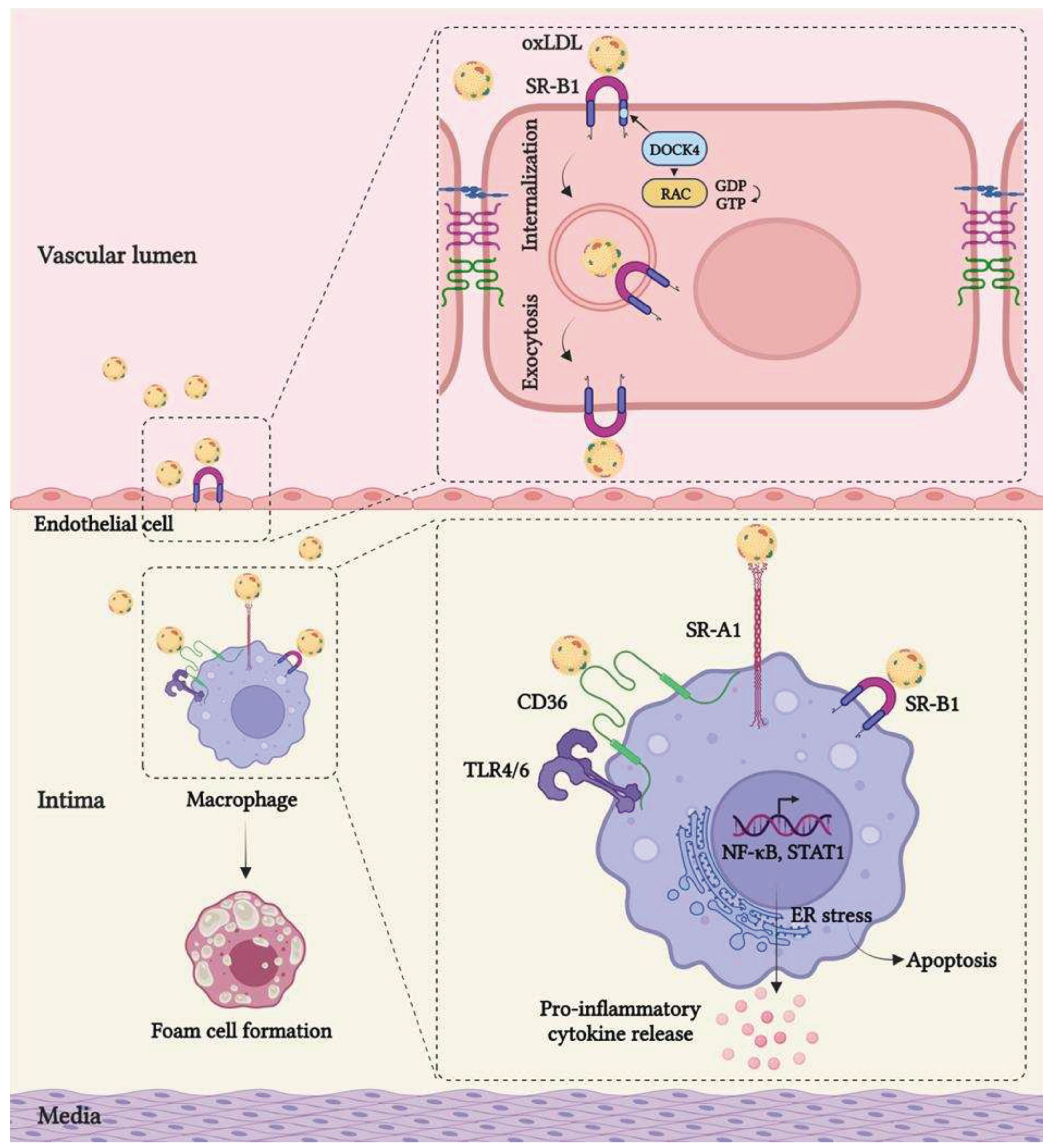 Preprints 84643 g001