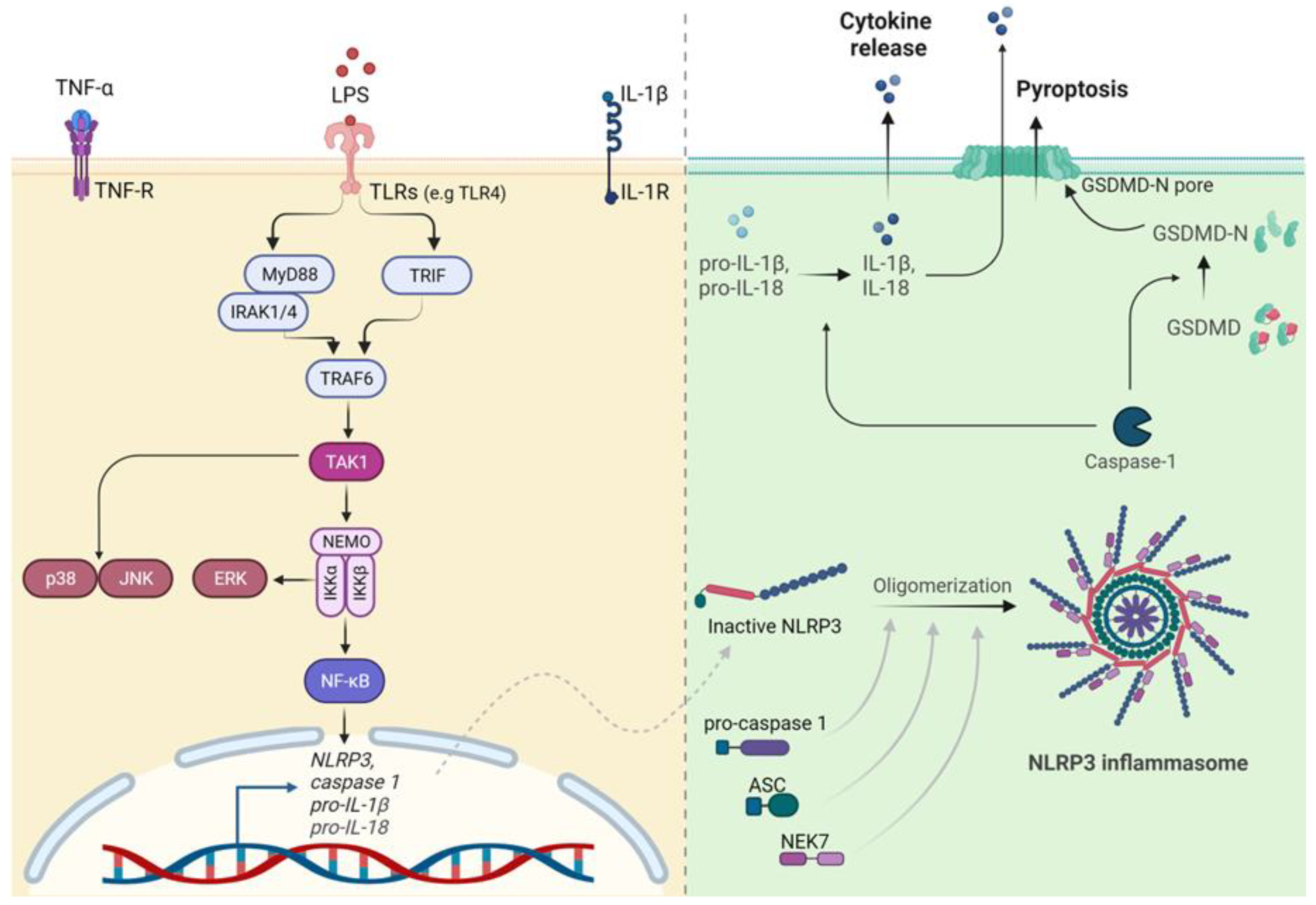 Preprints 84643 g002