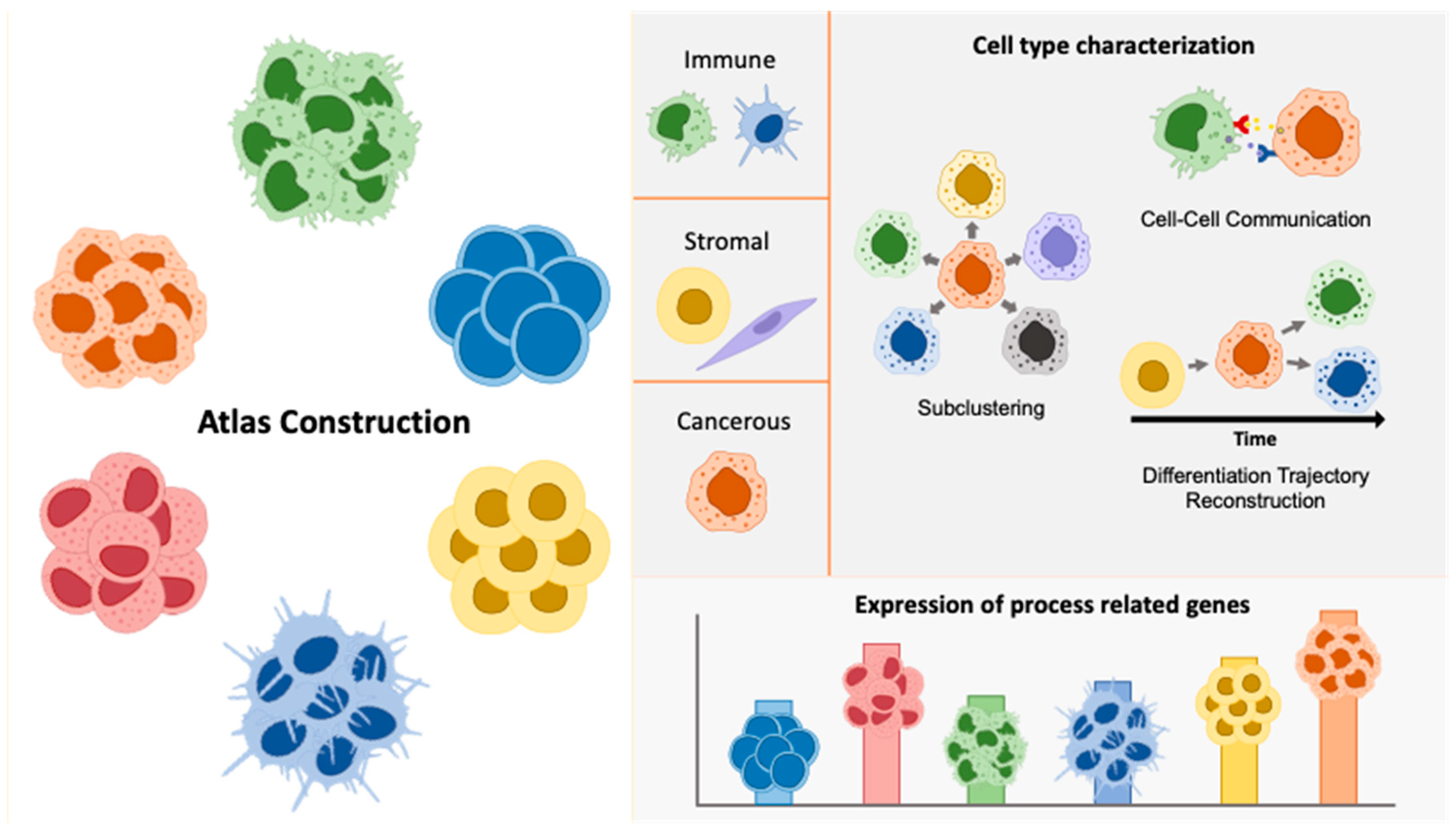 Preprints 112694 g001