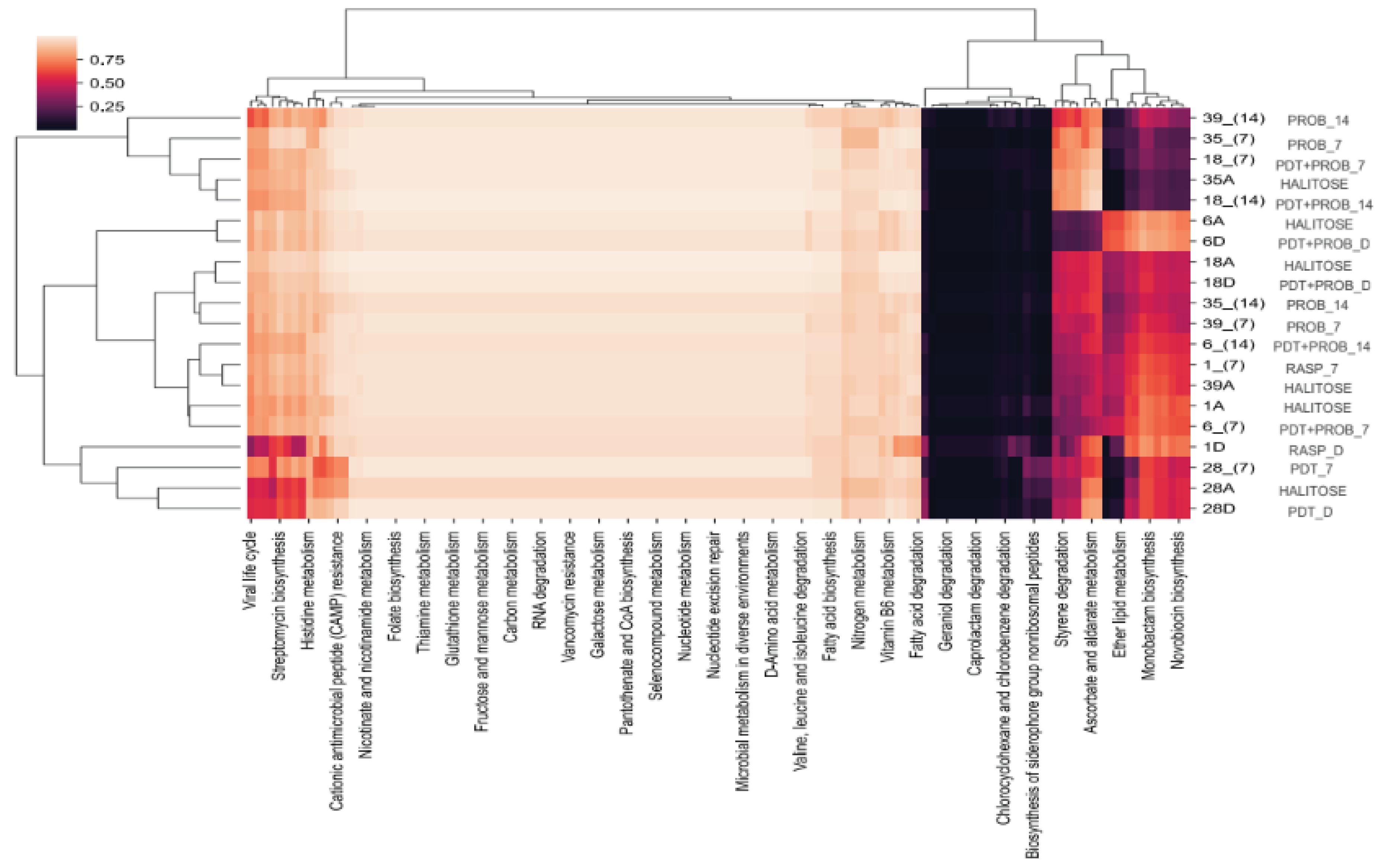 Preprints 99325 g014