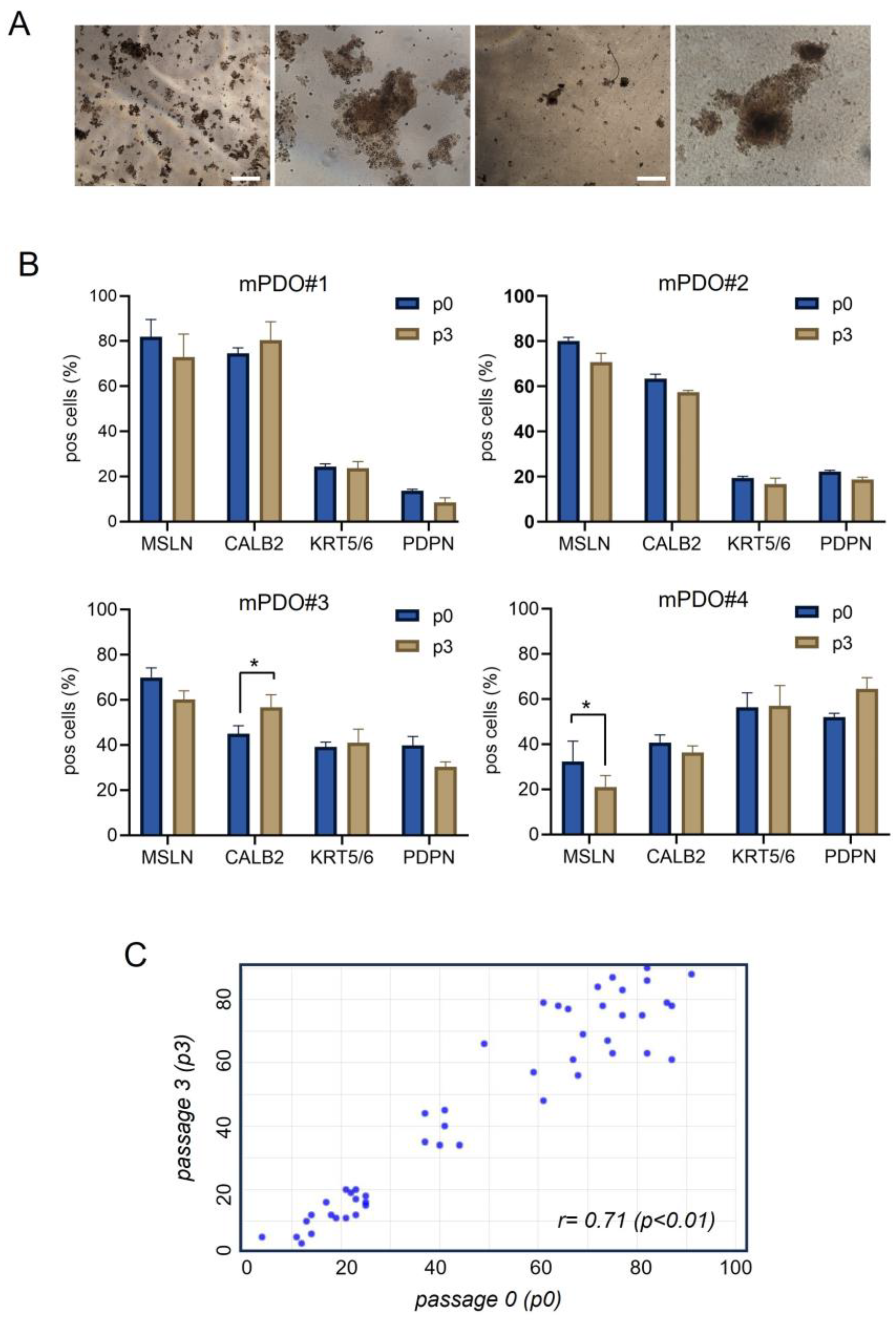 Preprints 101587 g001