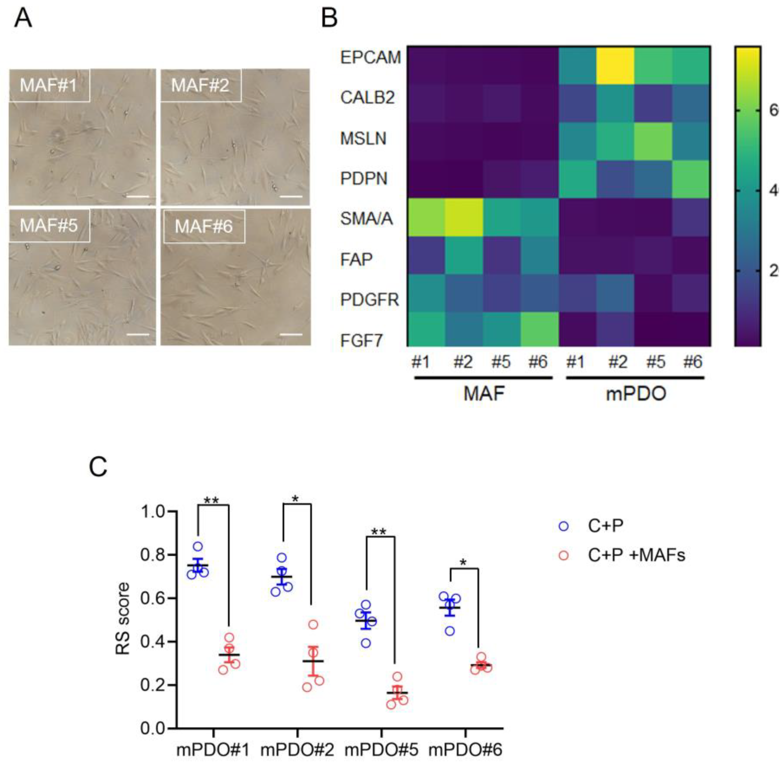 Preprints 101587 g003