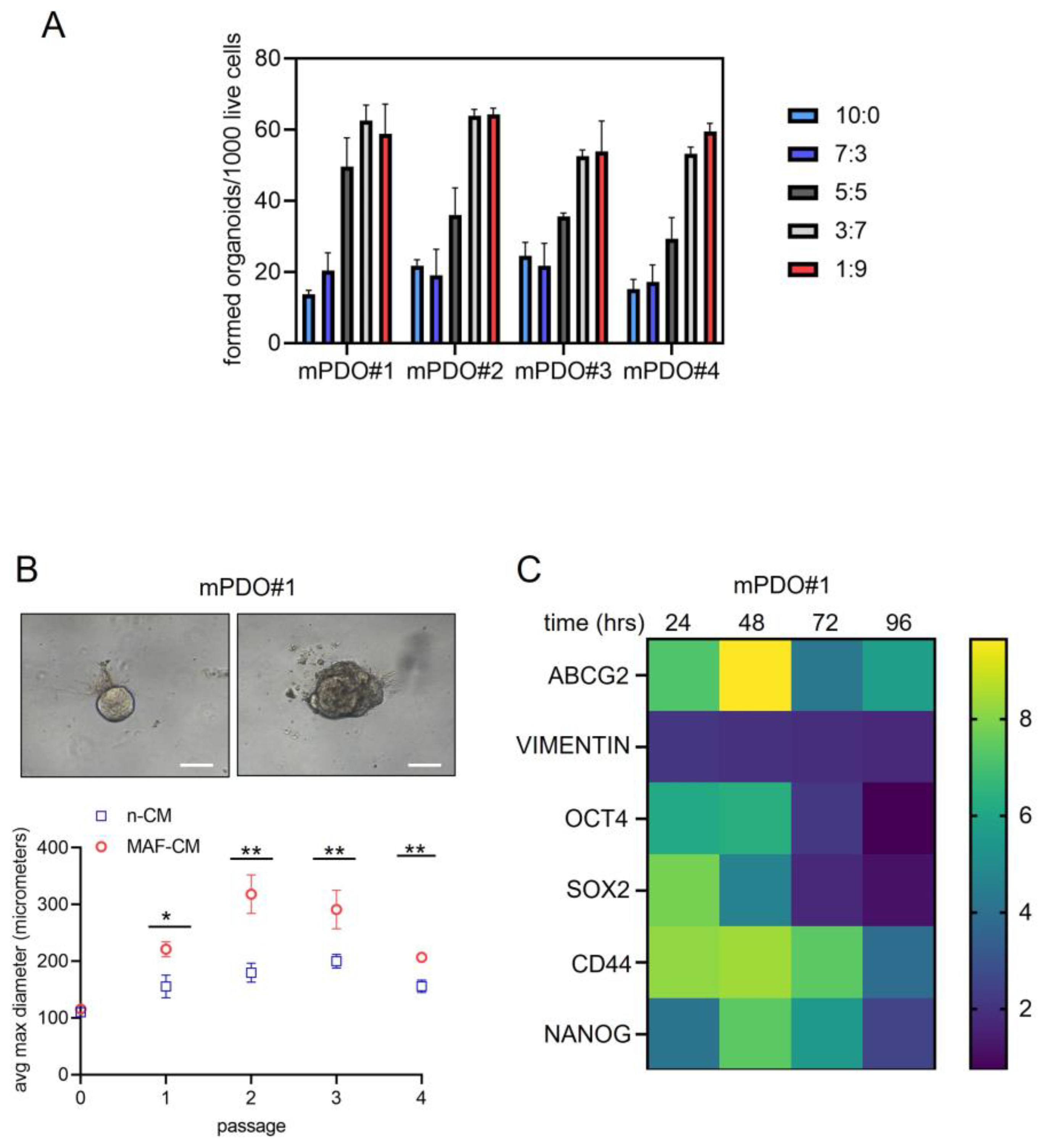 Preprints 101587 g004