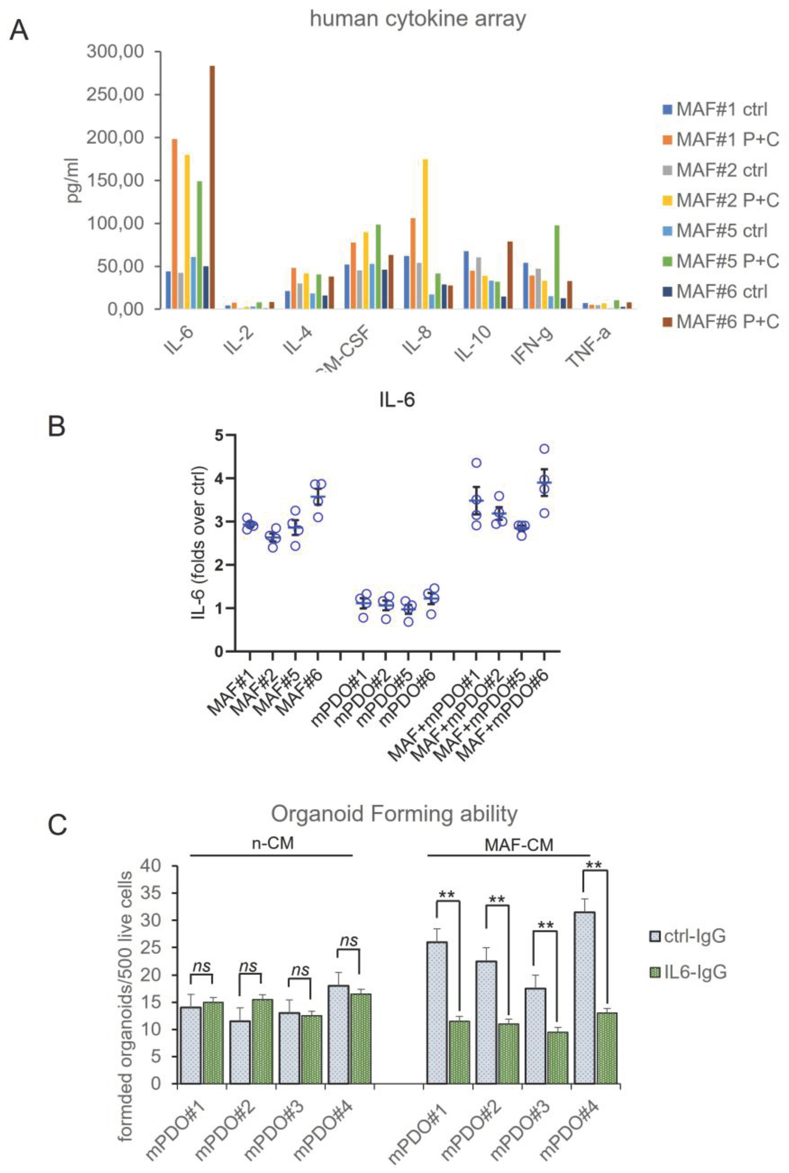 Preprints 101587 g005