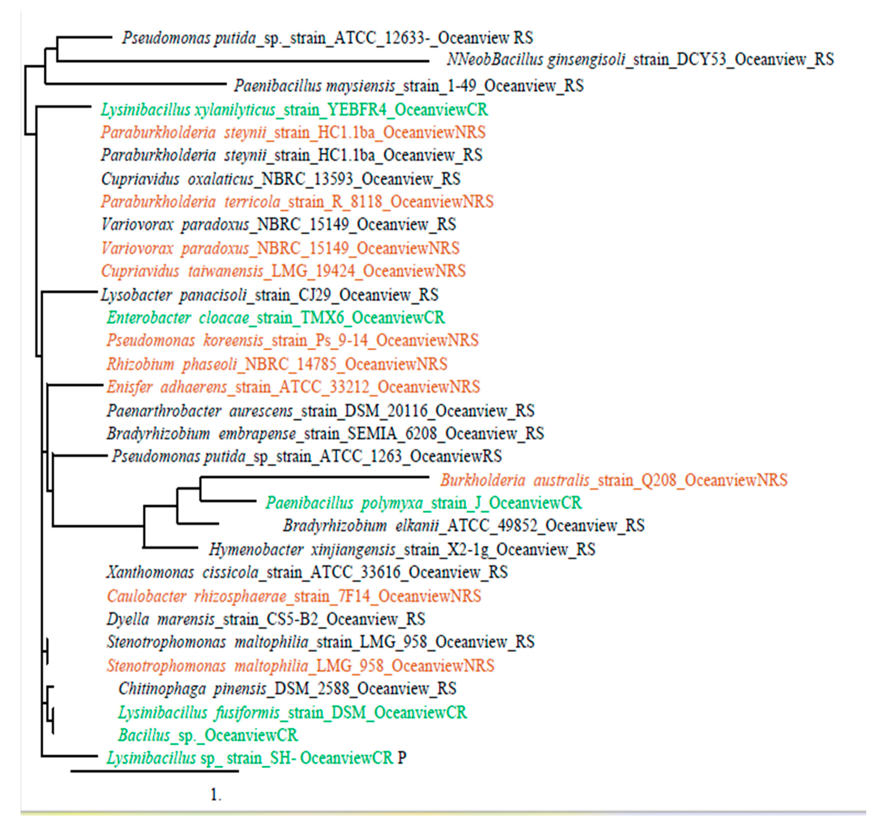 Preprints 85569 g001