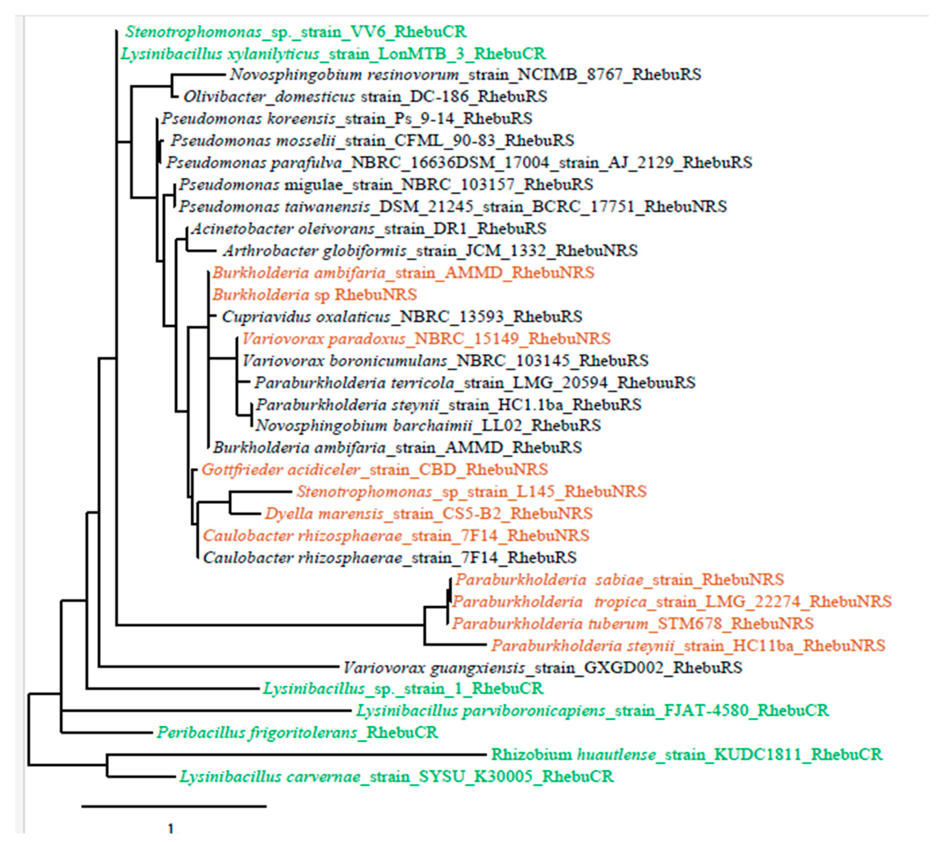 Preprints 85569 g002