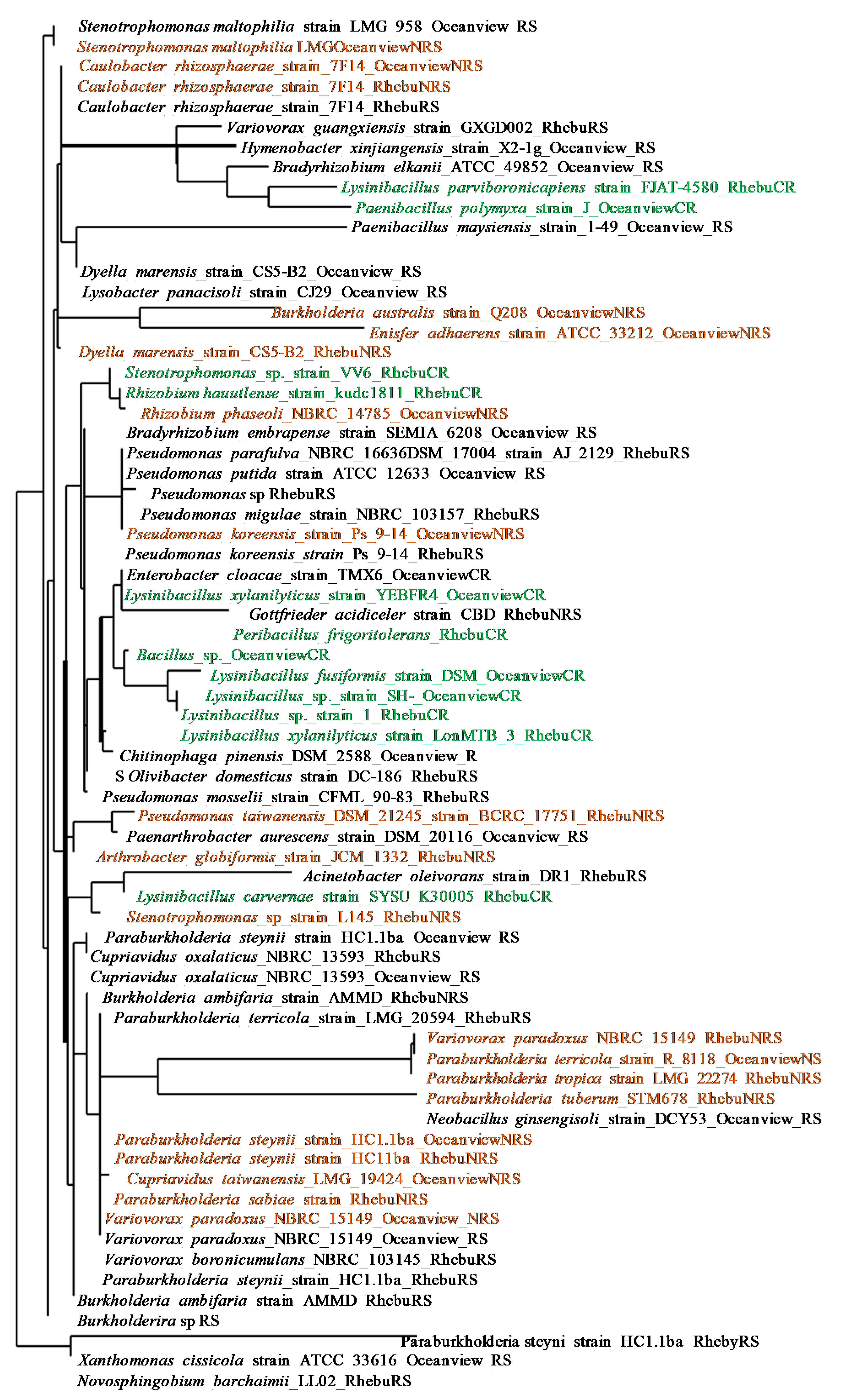 Preprints 85569 g003