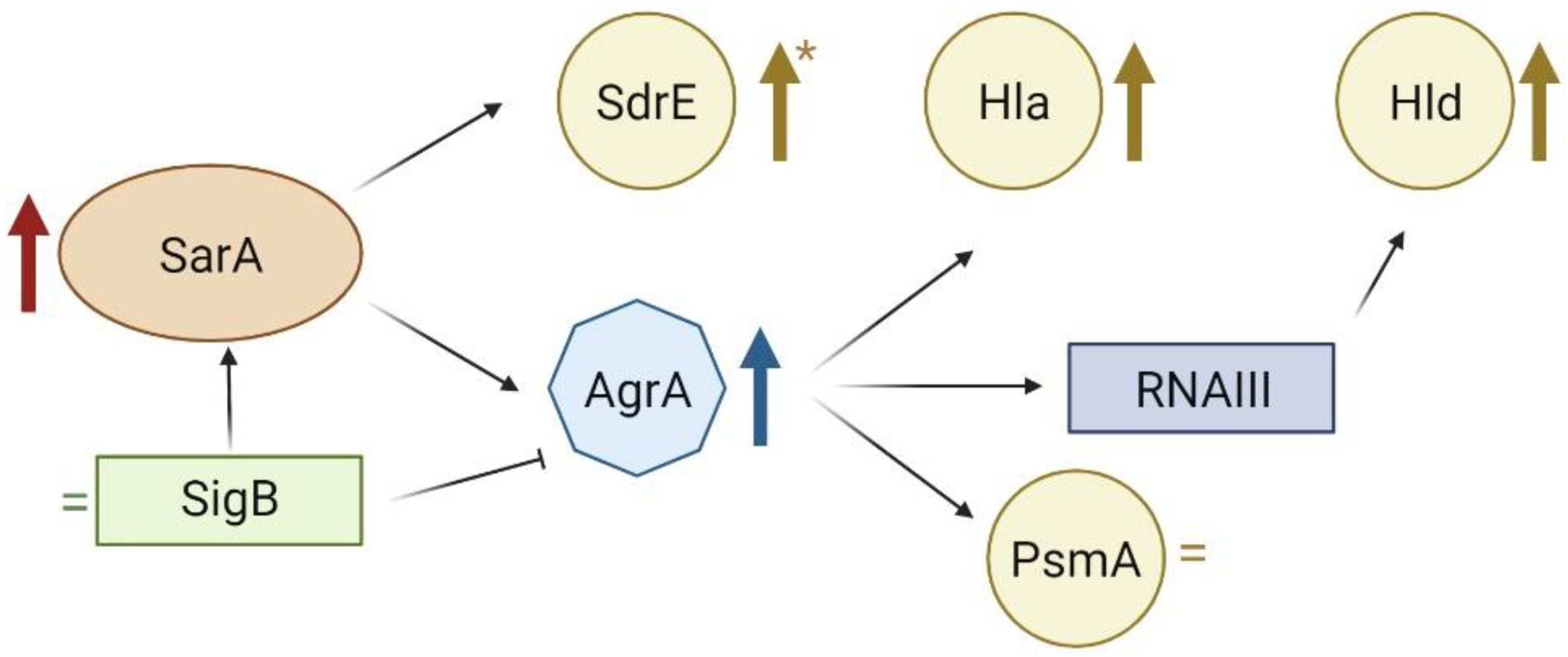 Preprints 70107 g004