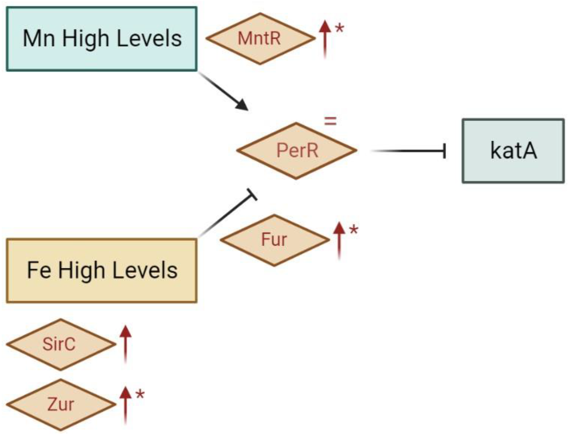 Preprints 70107 g005