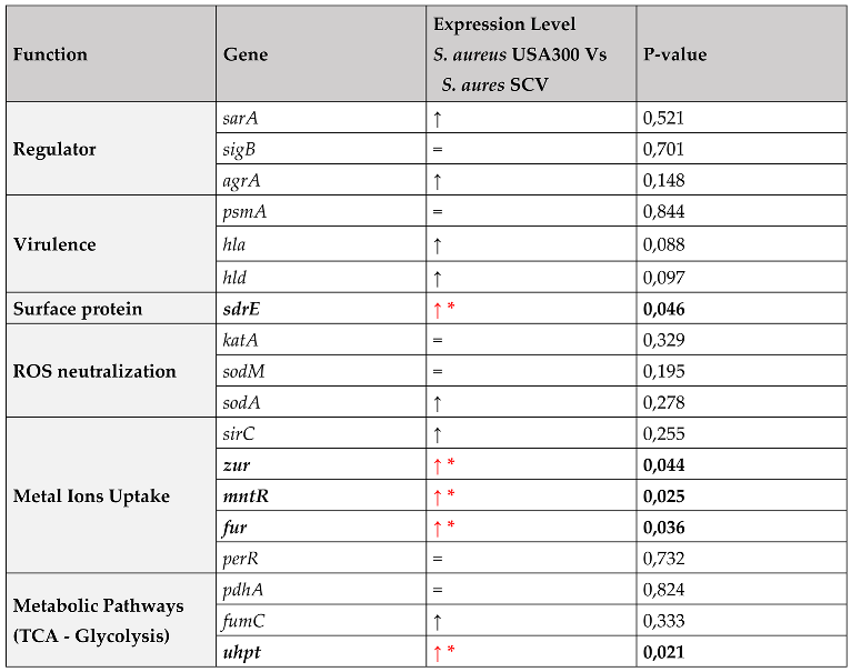 Preprints 70107 i001