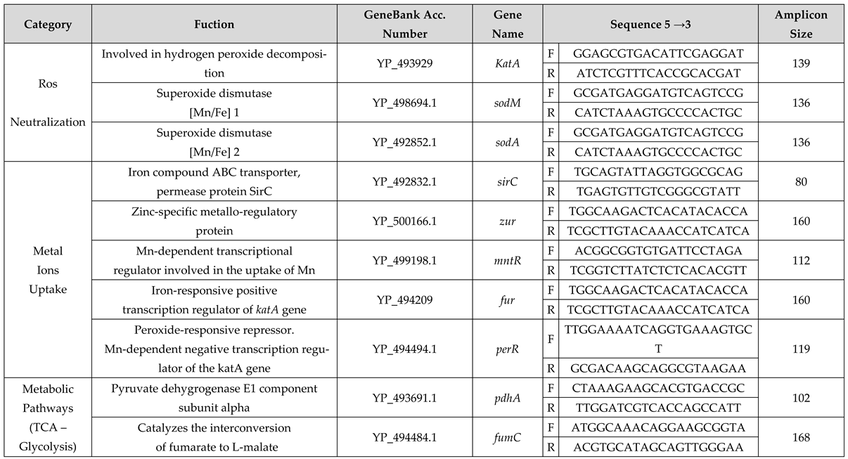 Preprints 70107 i002