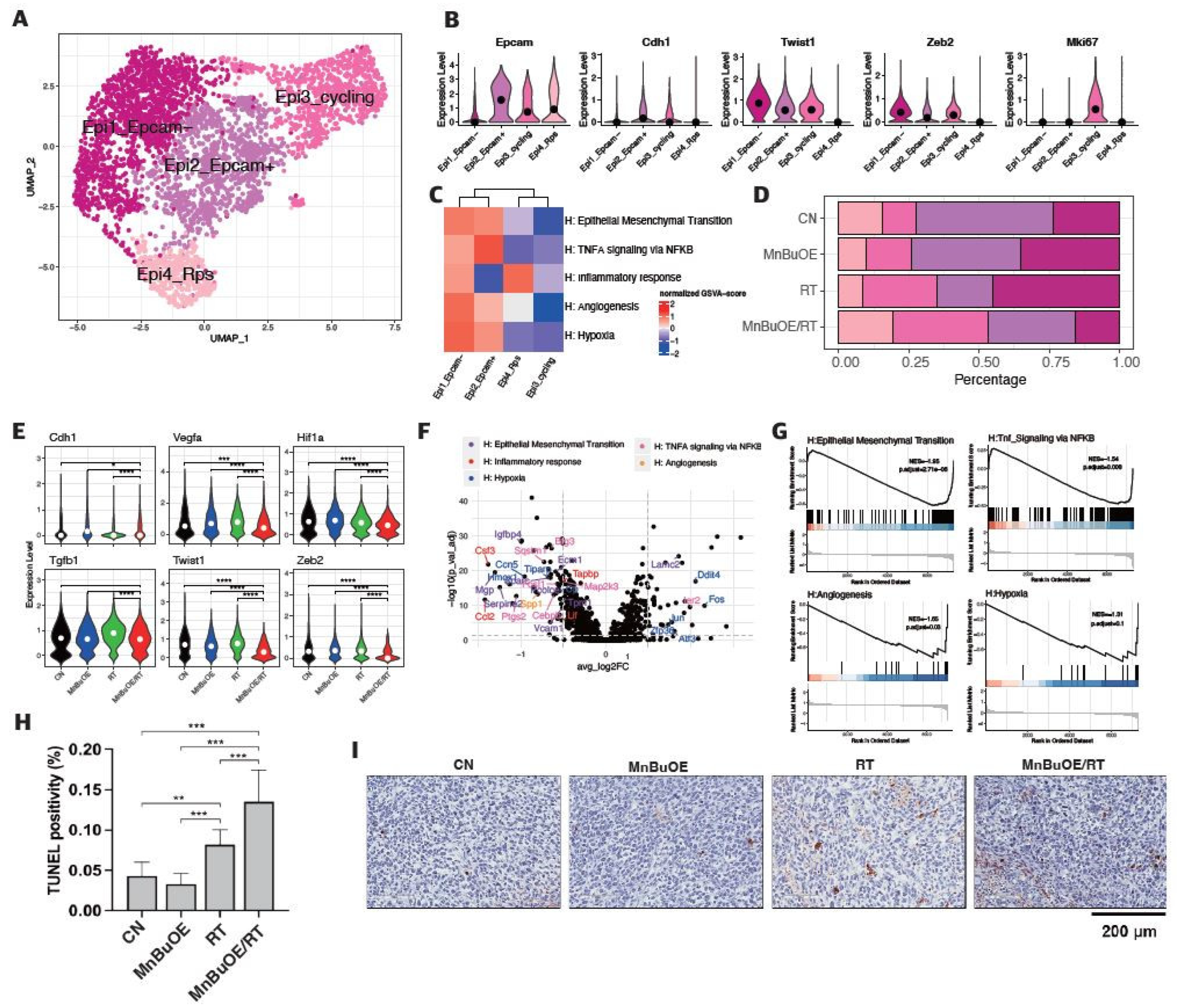 Preprints 98275 g002