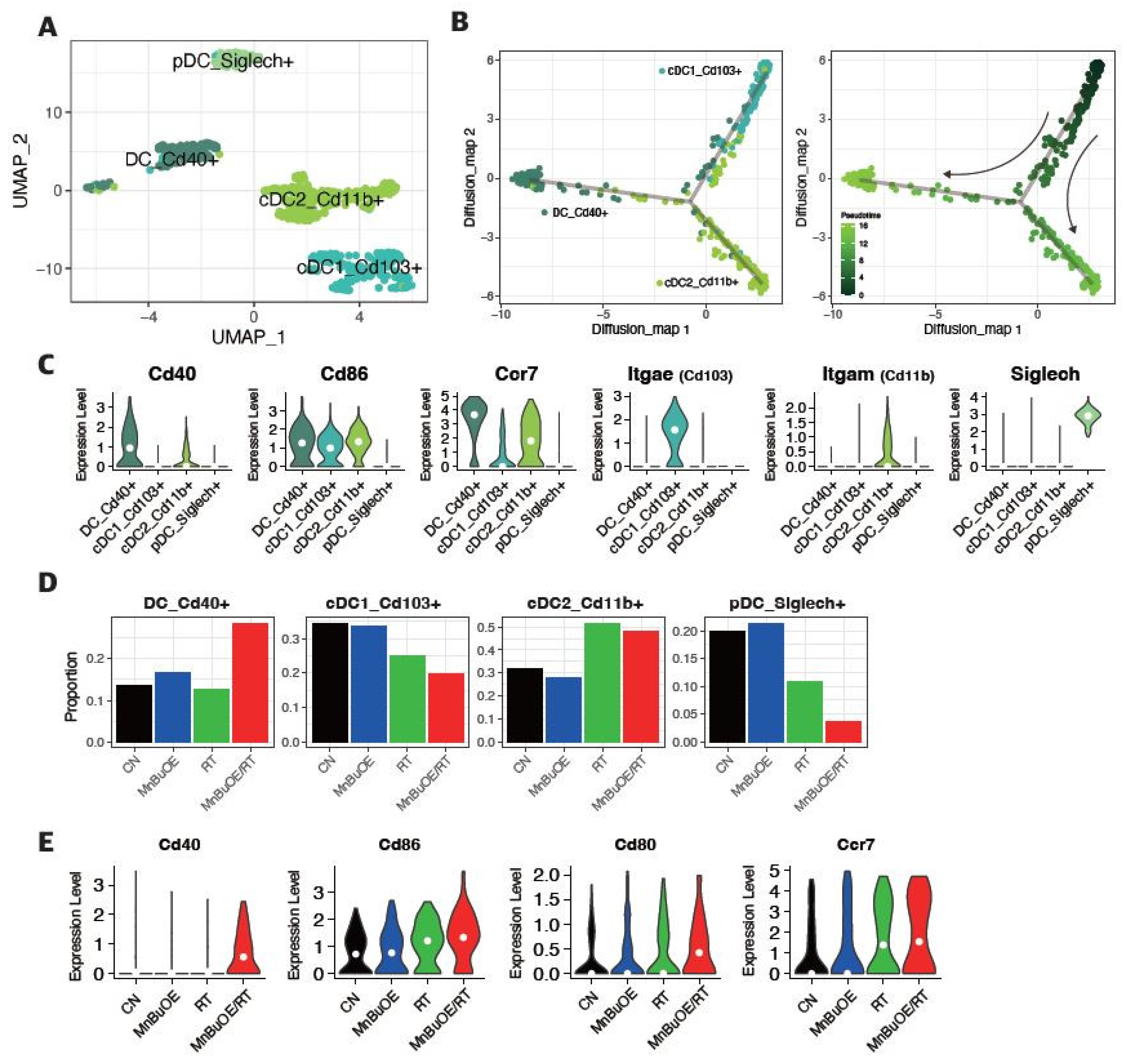 Preprints 98275 g005