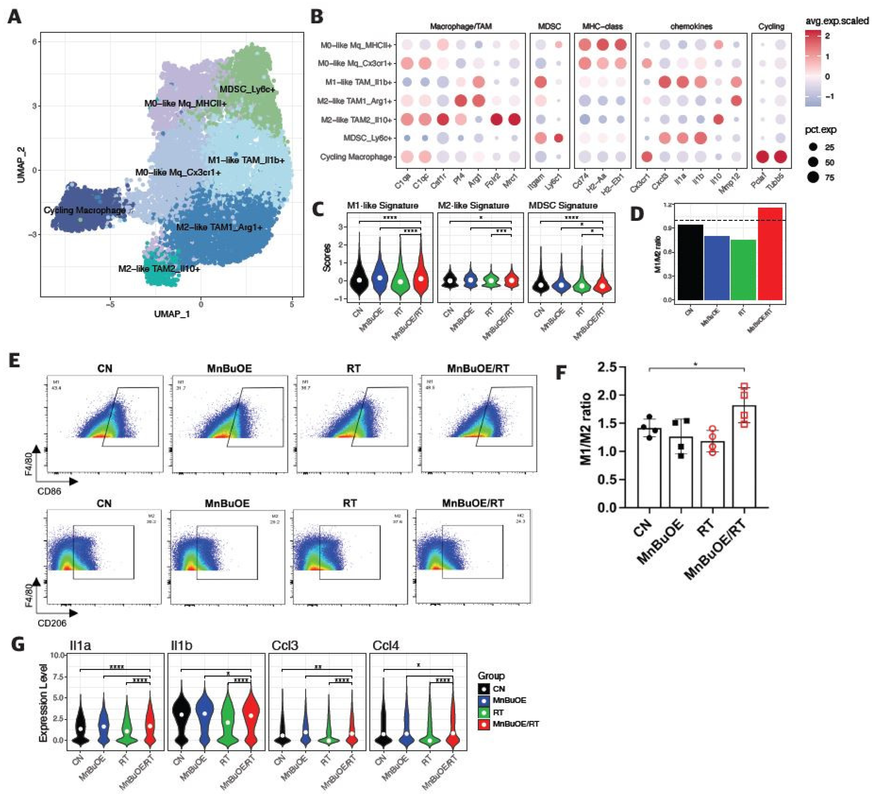 Preprints 98275 g006