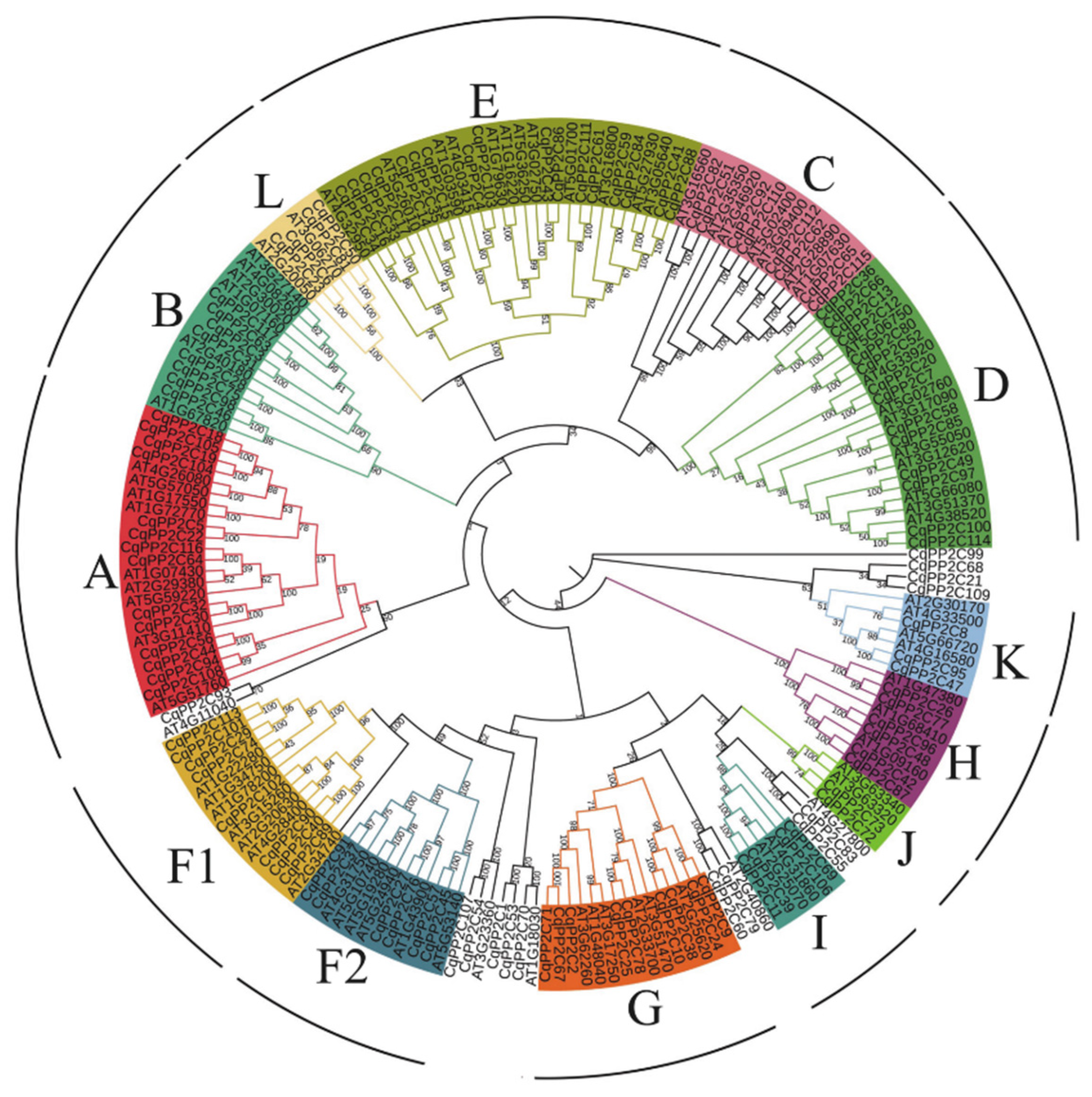 Preprints 91762 g001