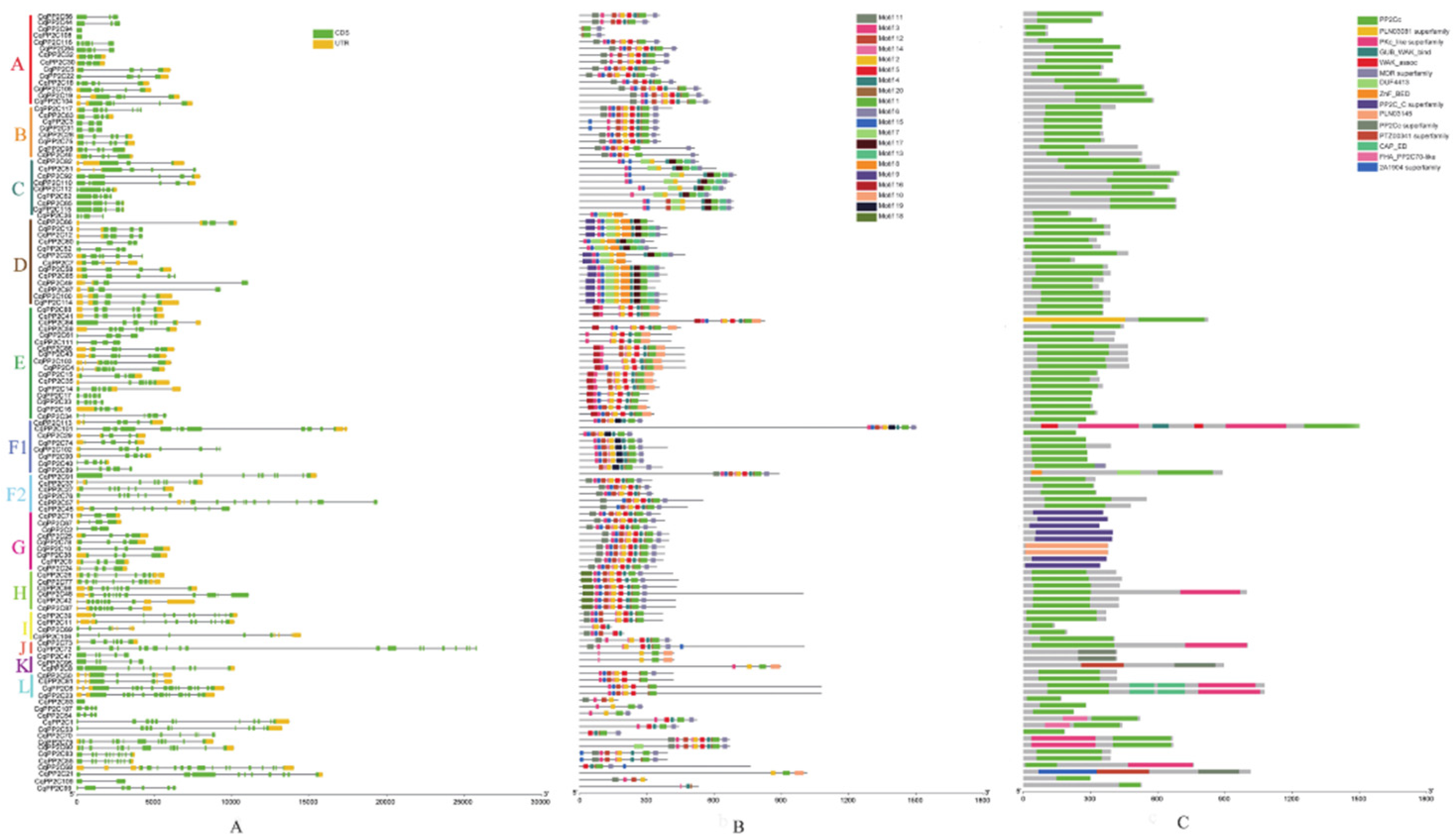 Preprints 91762 g002