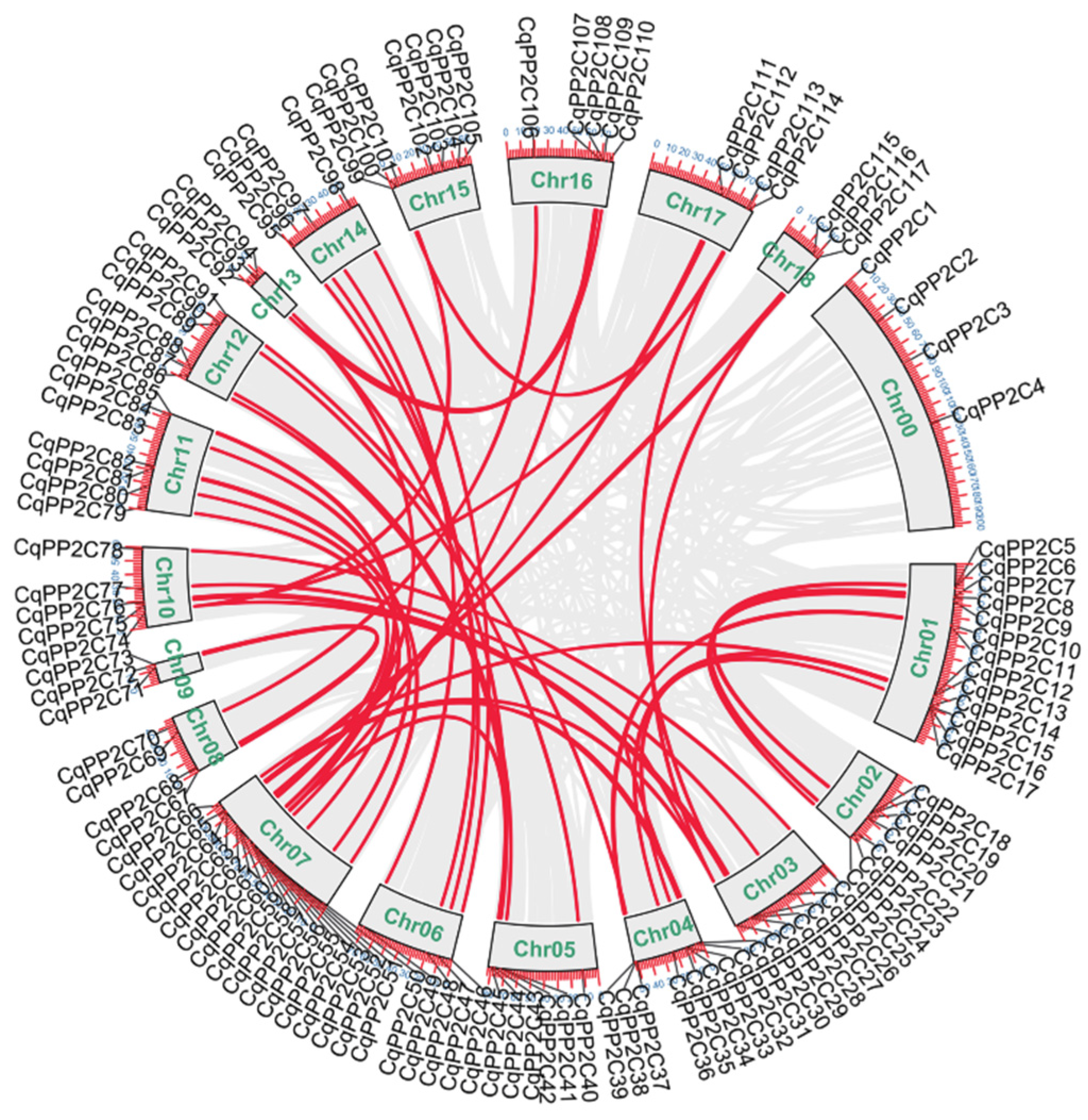 Preprints 91762 g003